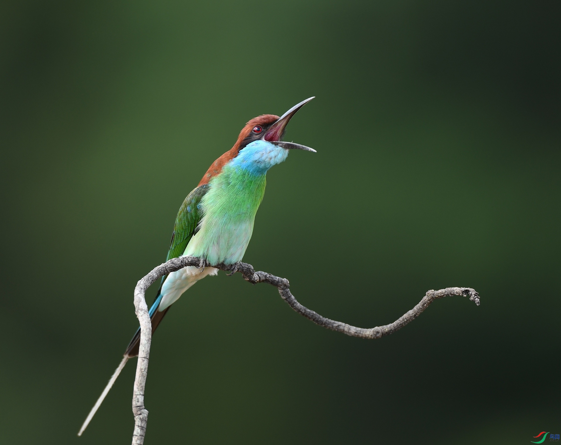 DSC_1457.jpg