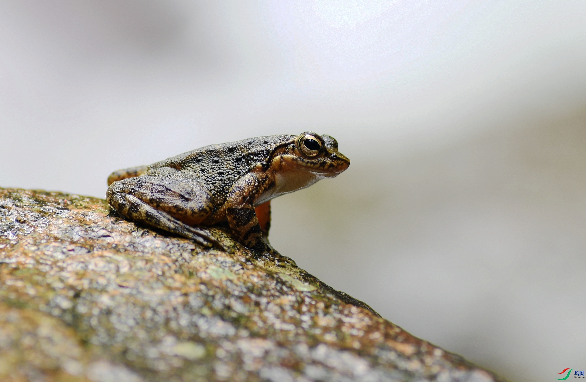 DSC_2341.jpg