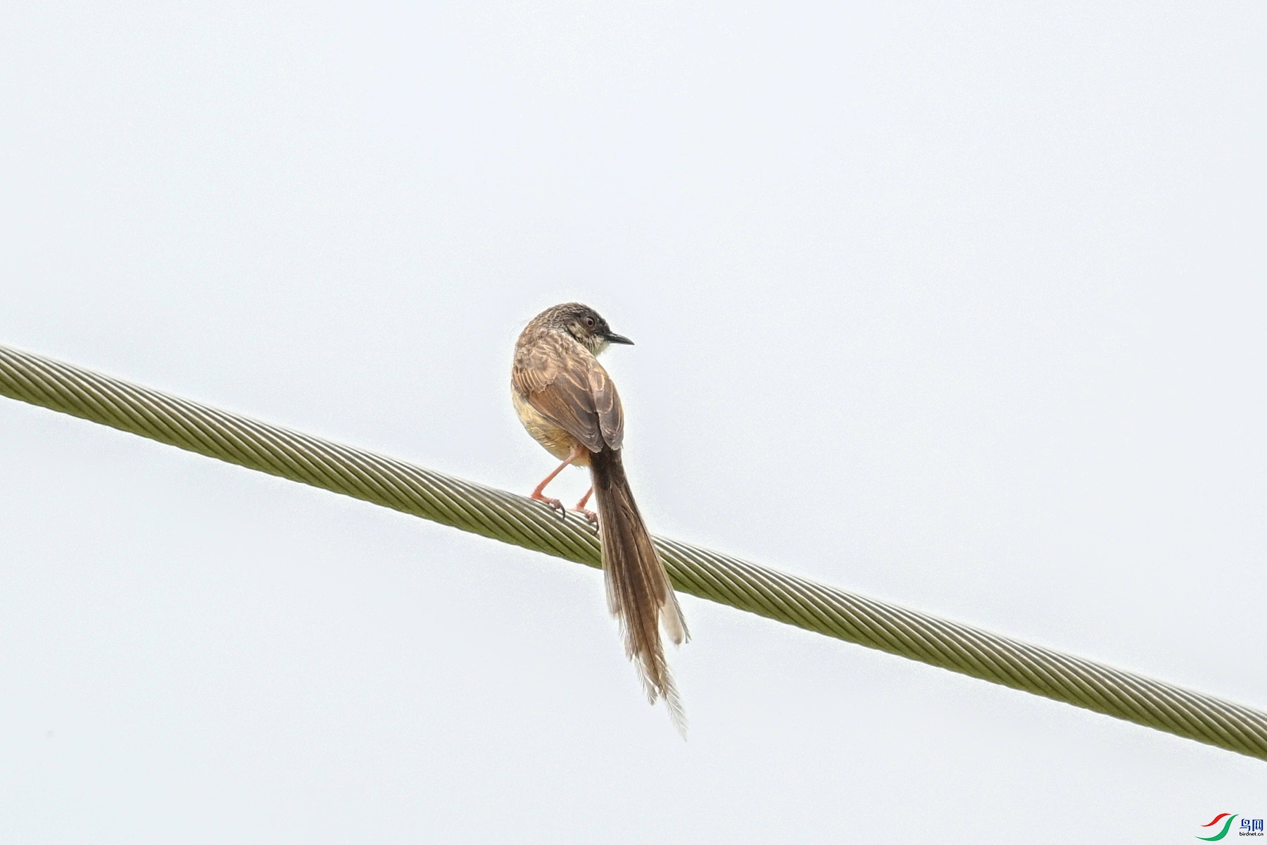 DSC_7383.JPG