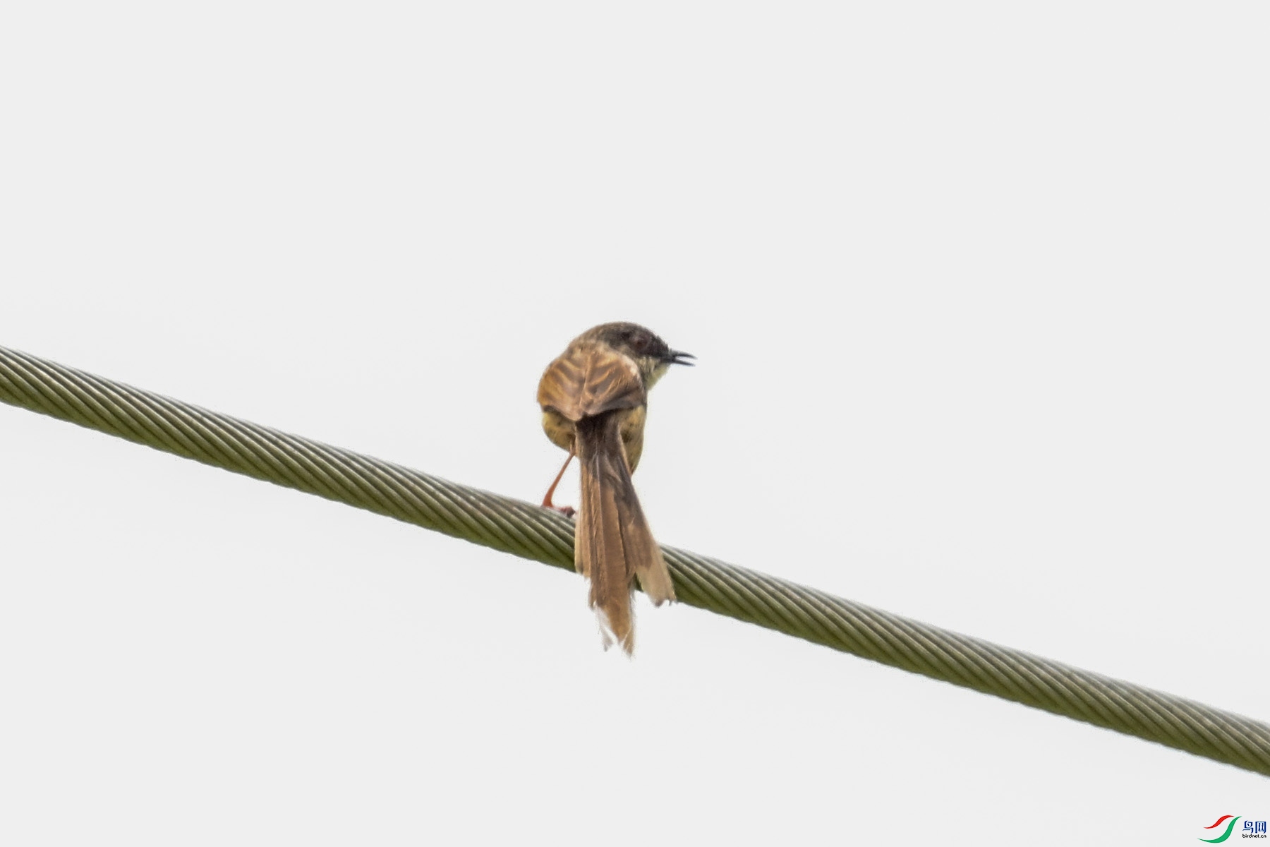 DSC_7391.JPG