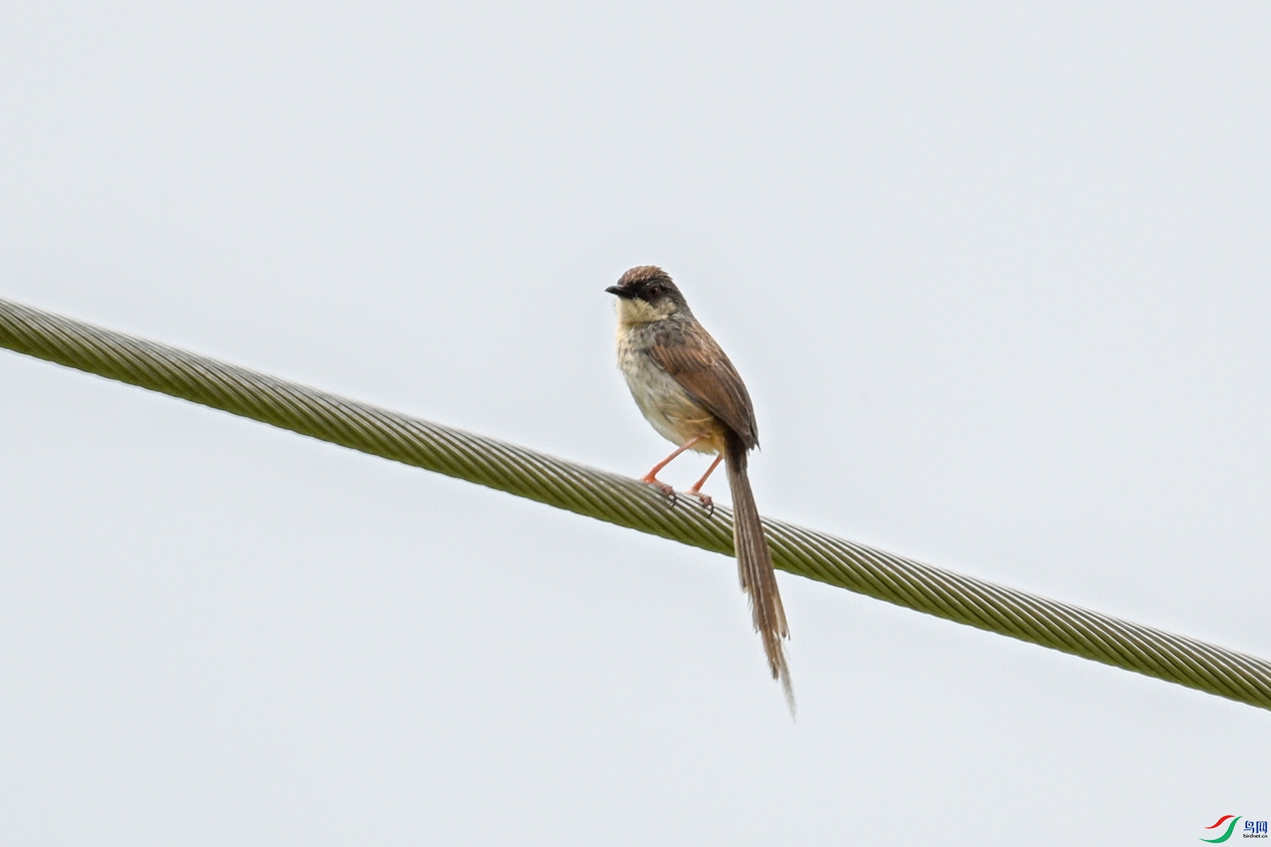 DSC_7374.JPG