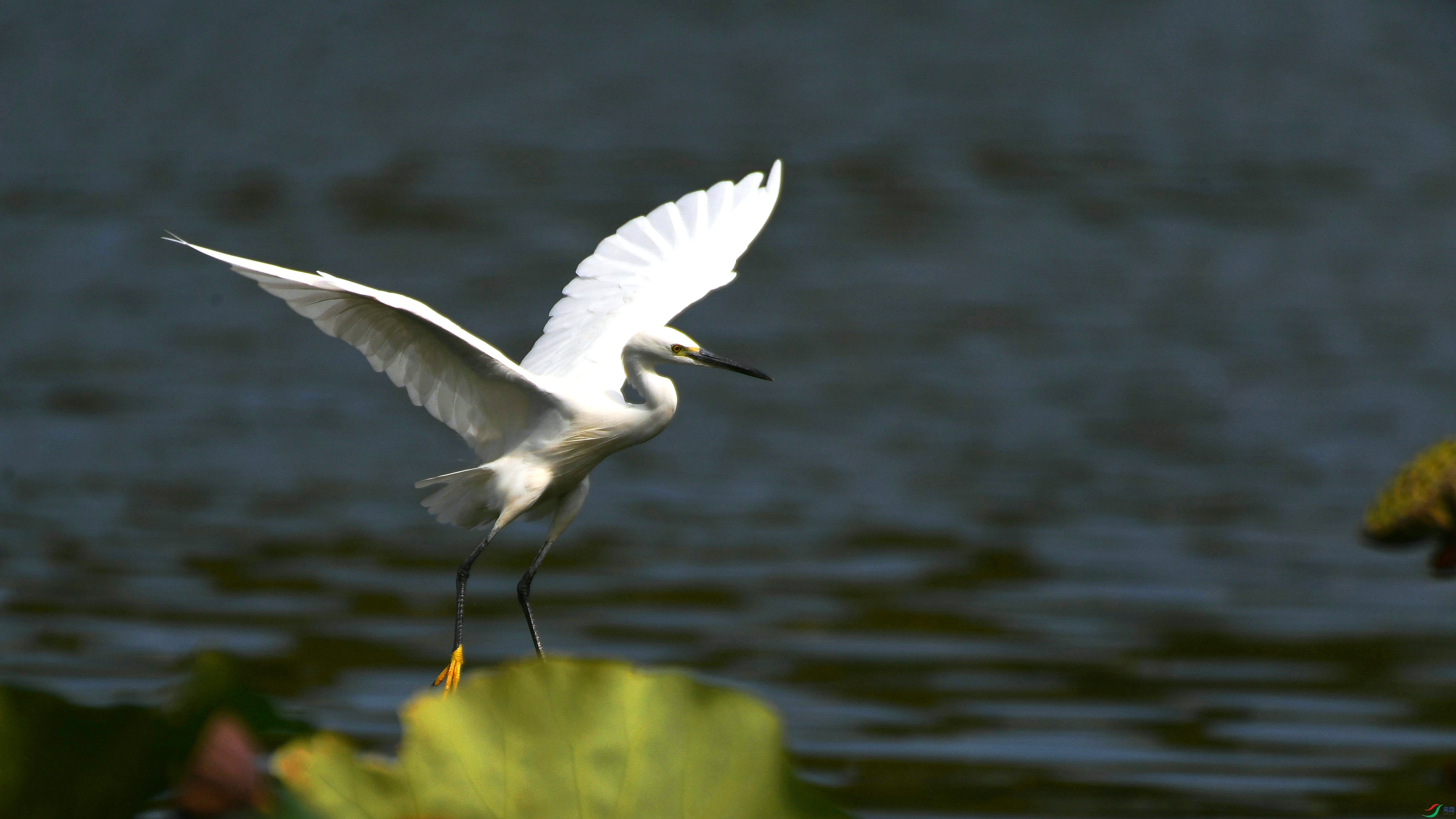 DSC_8476.JPG