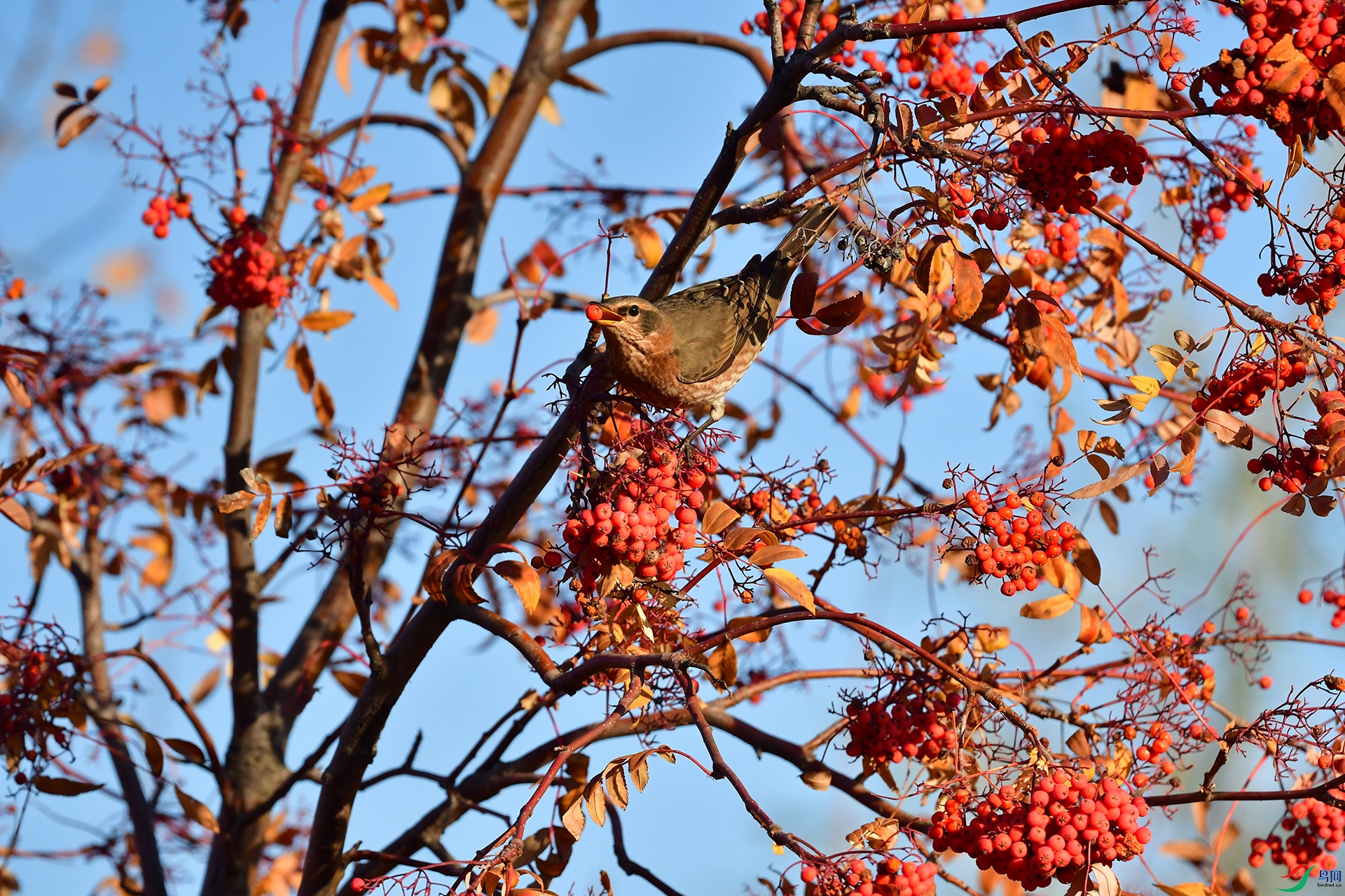 DSC_1304.jpg