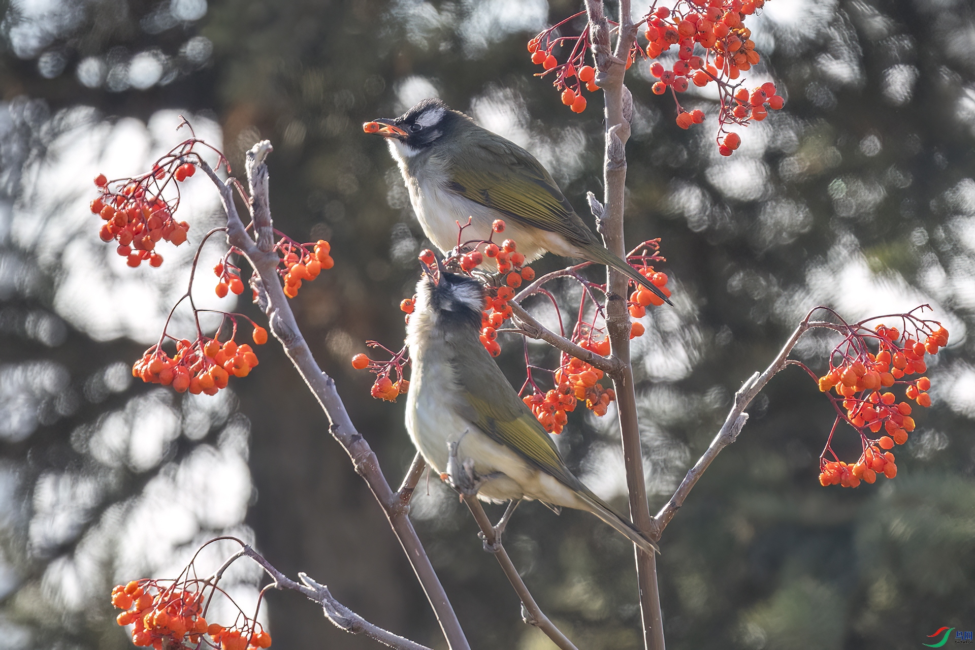 DSC_6284.jpg