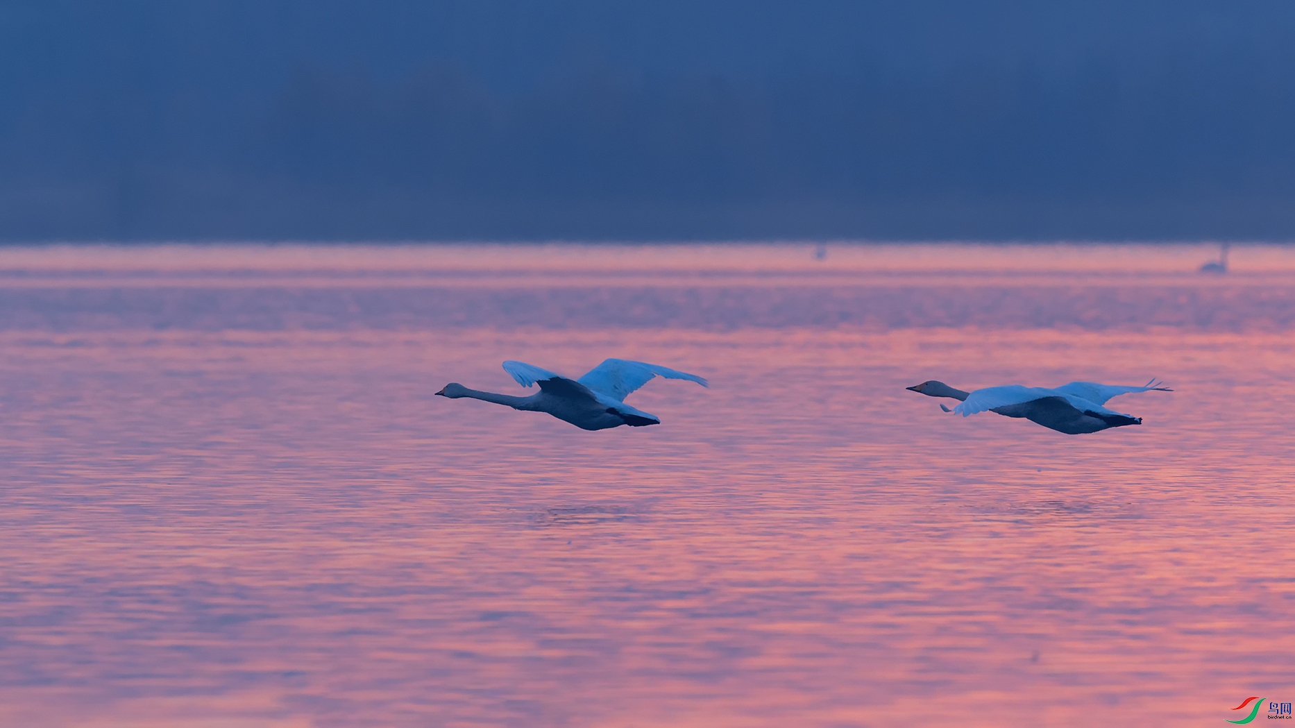 4DSC_5979_DxOaa.jpg