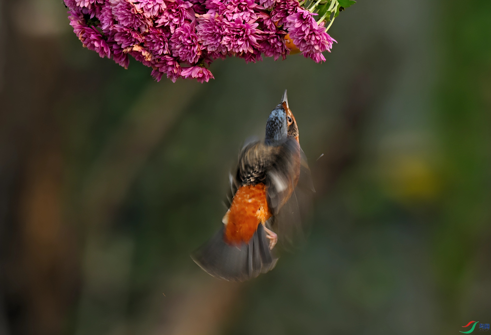 DSC_8435_����.jpg