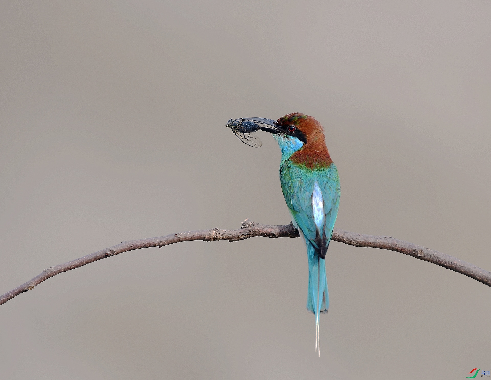 DSC_8111.jpg