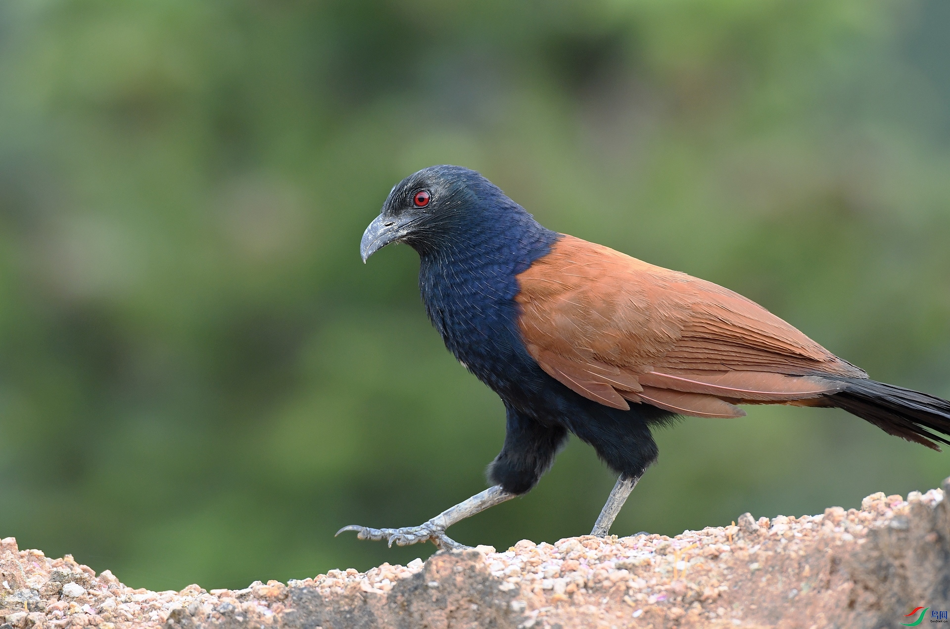 DSC_5733.jpg