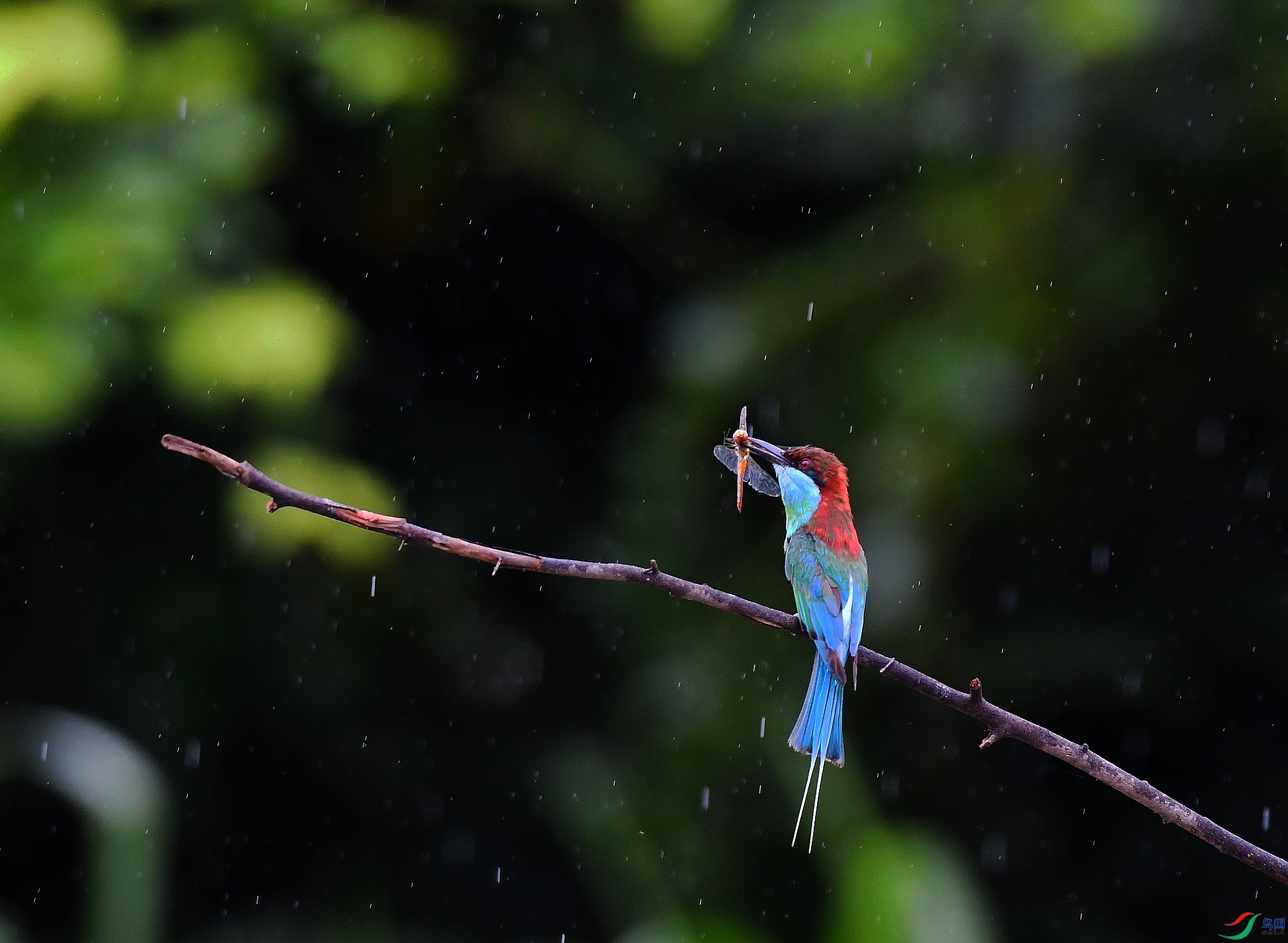 DSC_3664.jpg