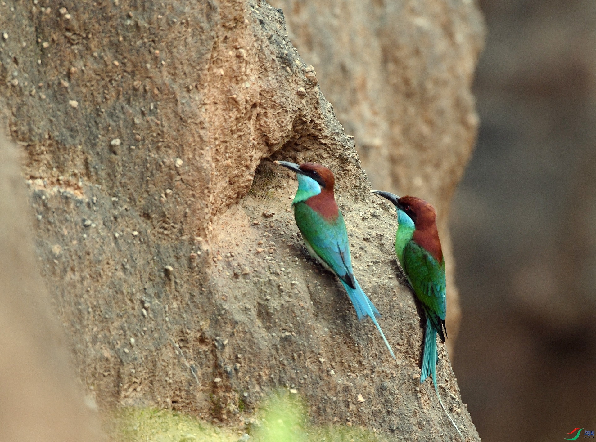 DSC_0423.jpg