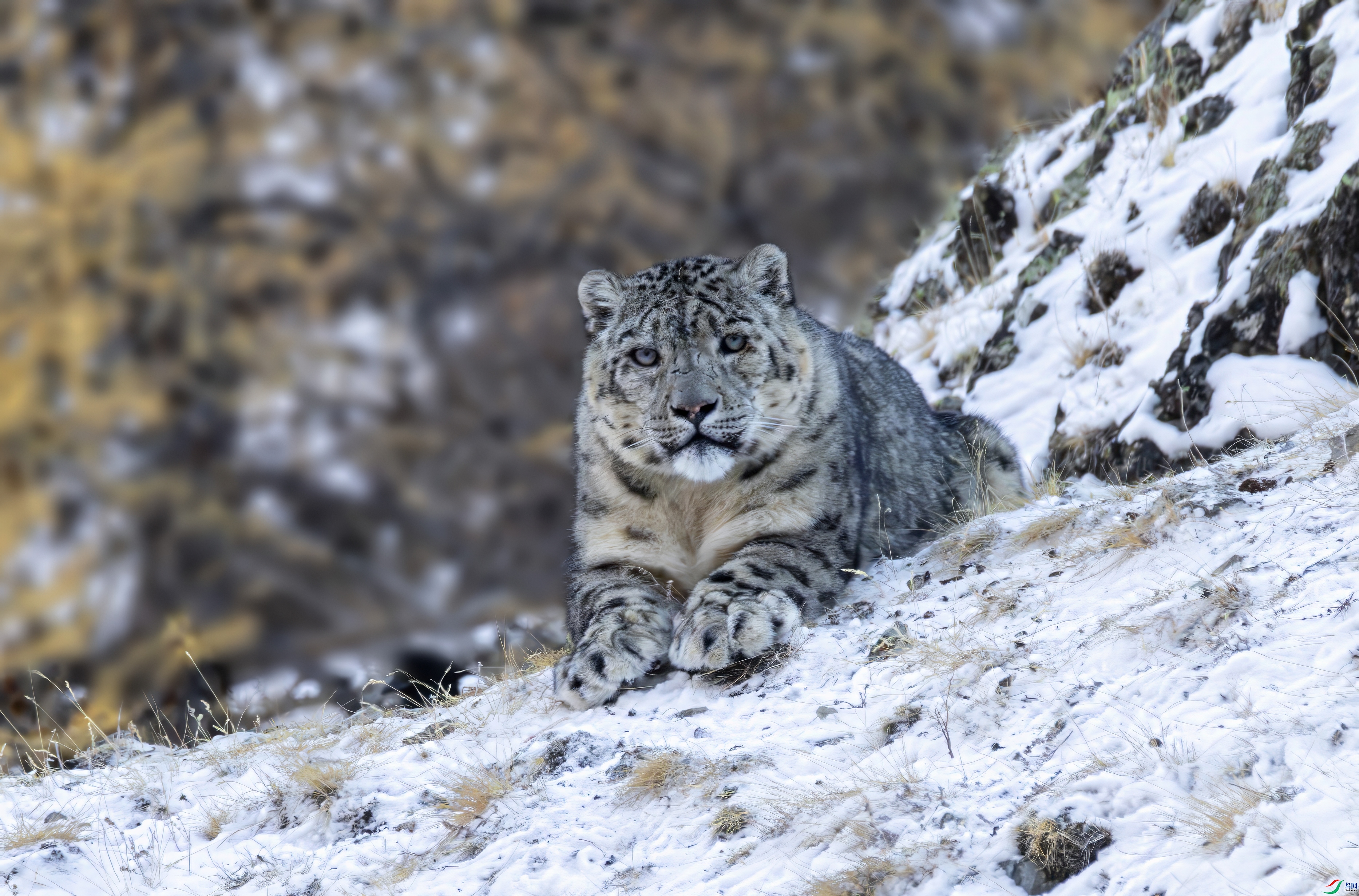 9A7A8978-topaz-denoise.jpeg