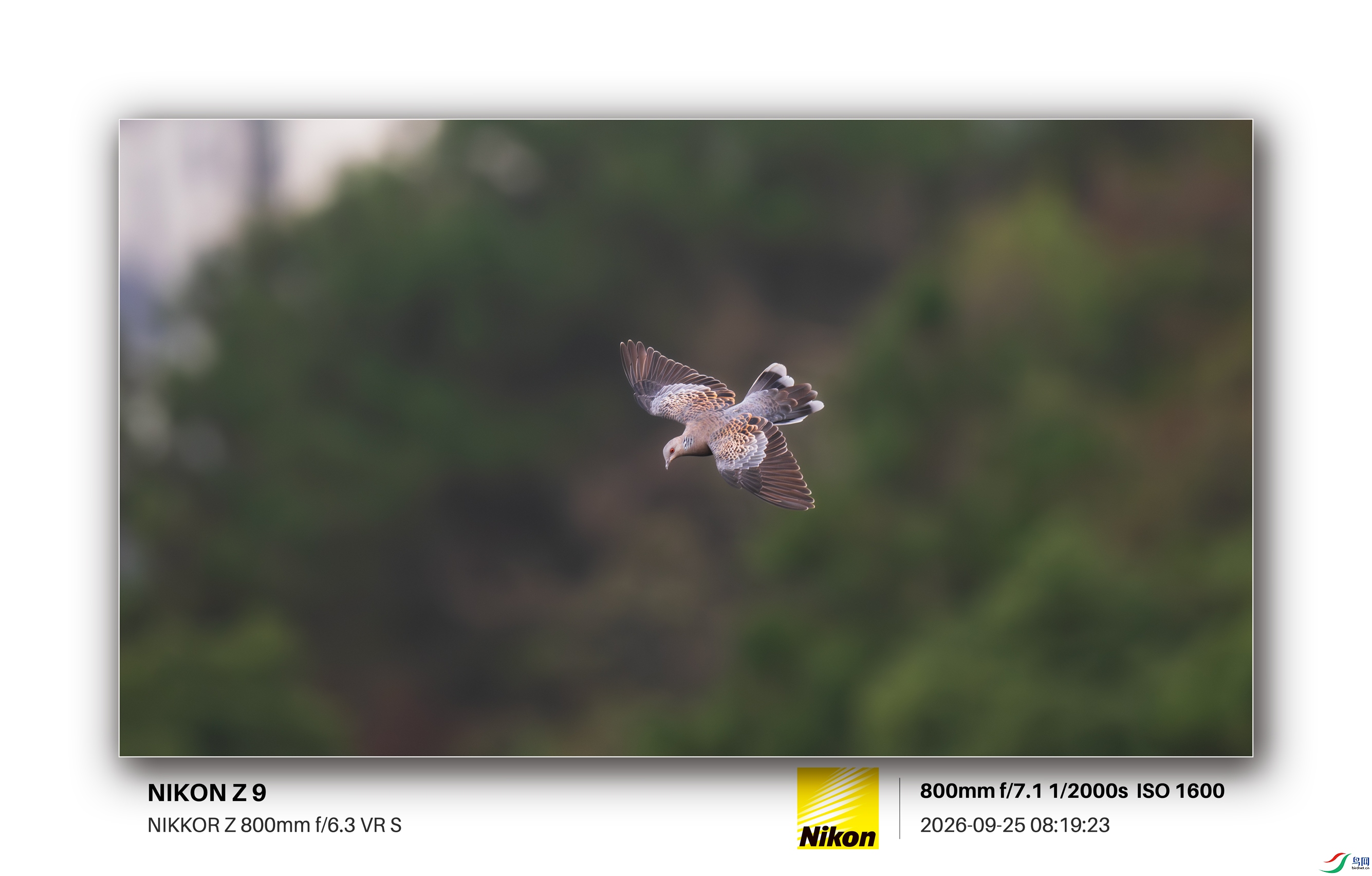 DSC_0514.jpg