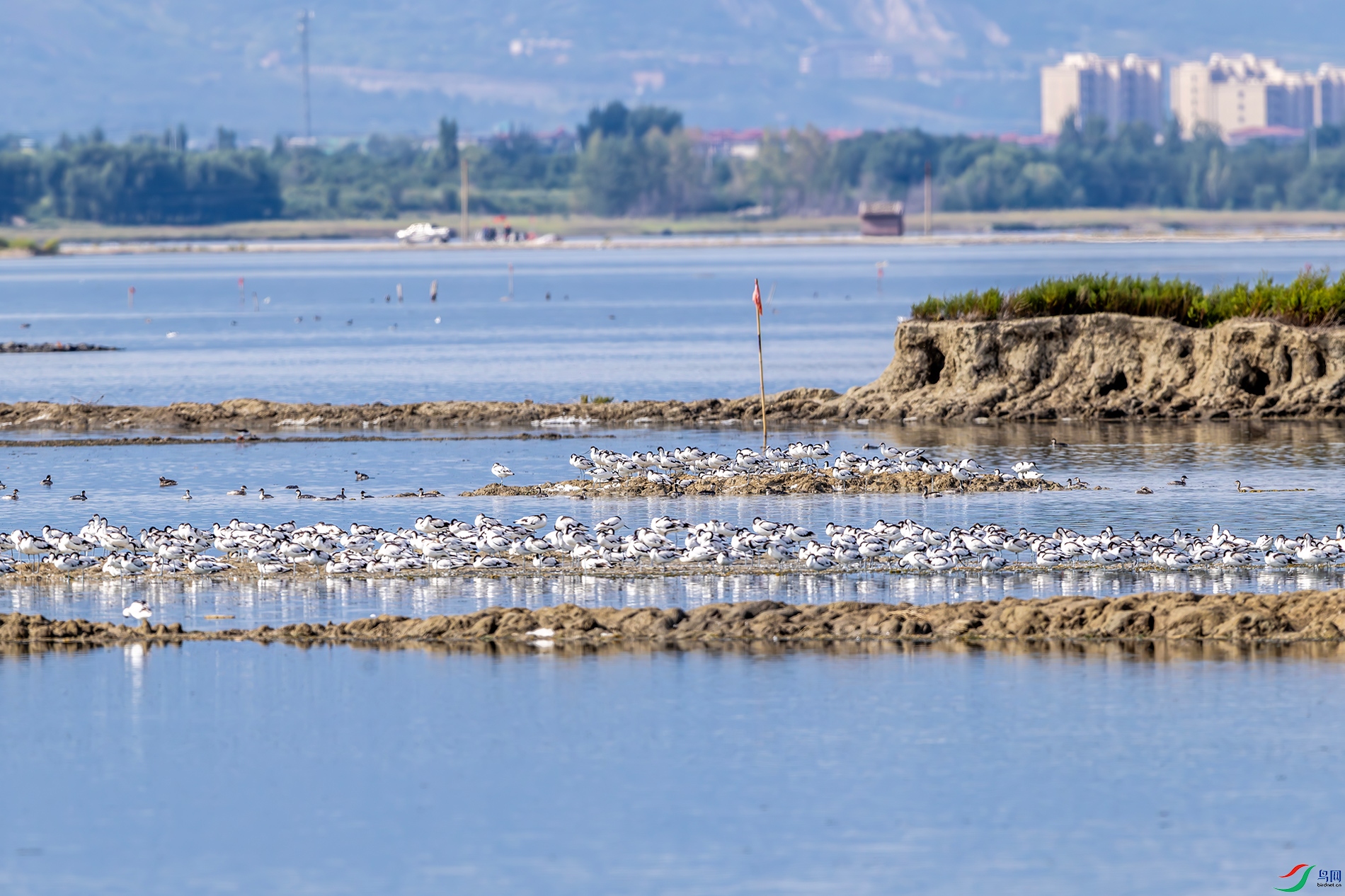 IMG_8372 ����.jpg
