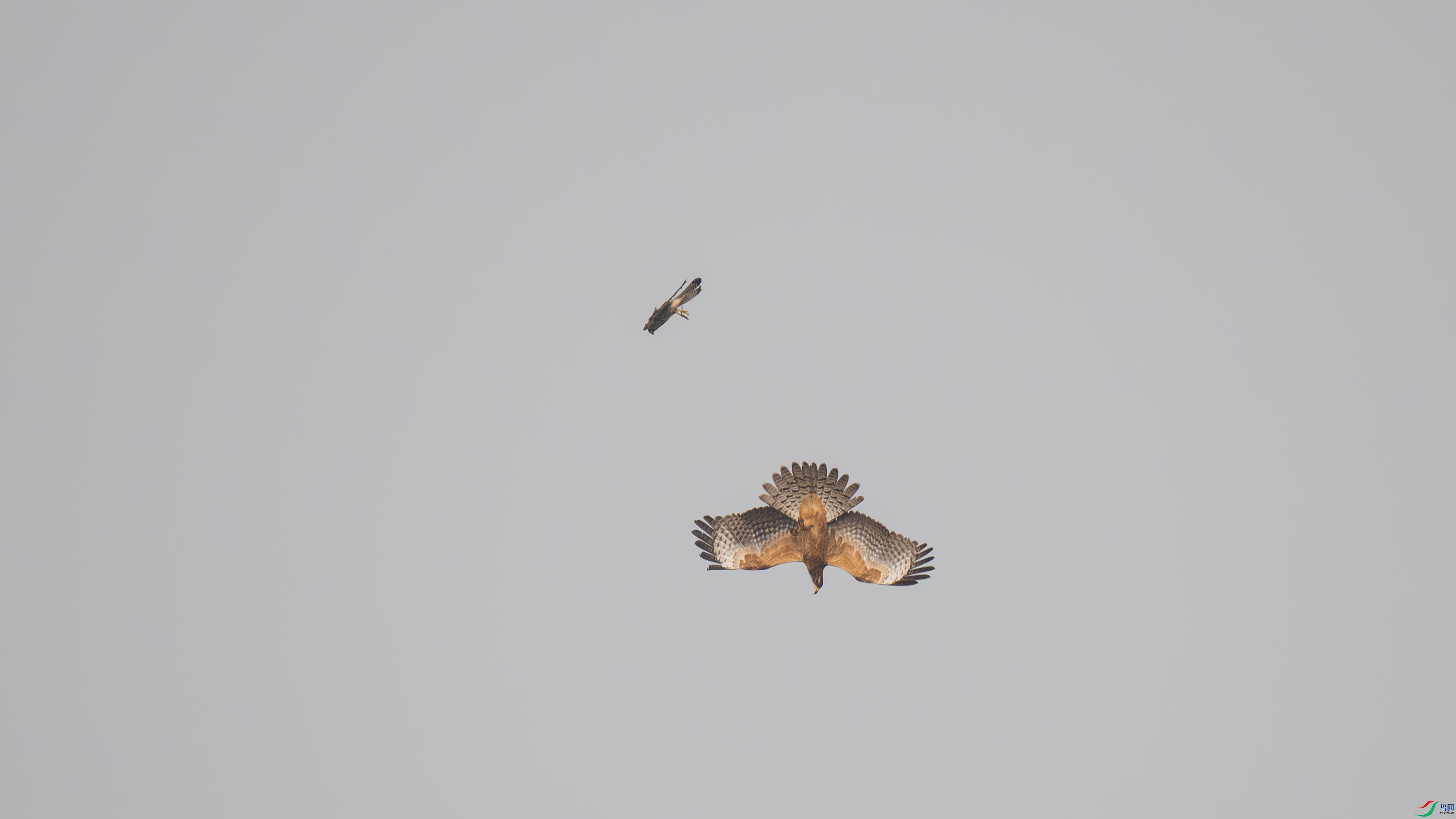 DSC_0386.jpg