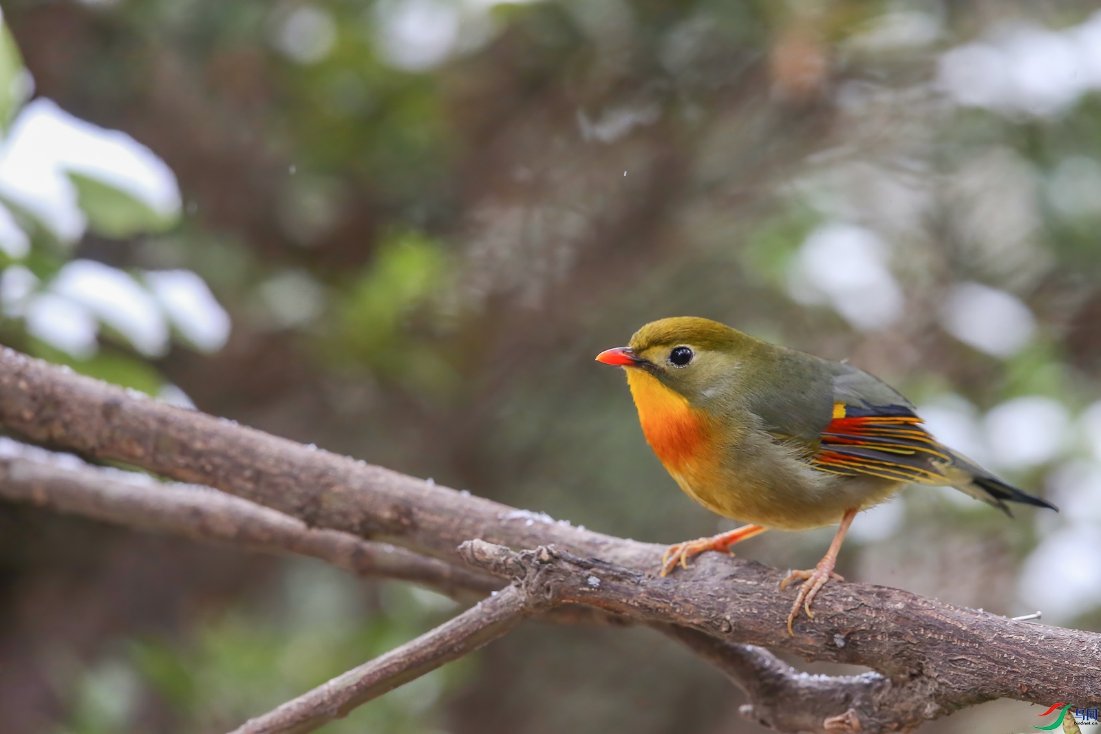 AQ4P8492-1.jpg