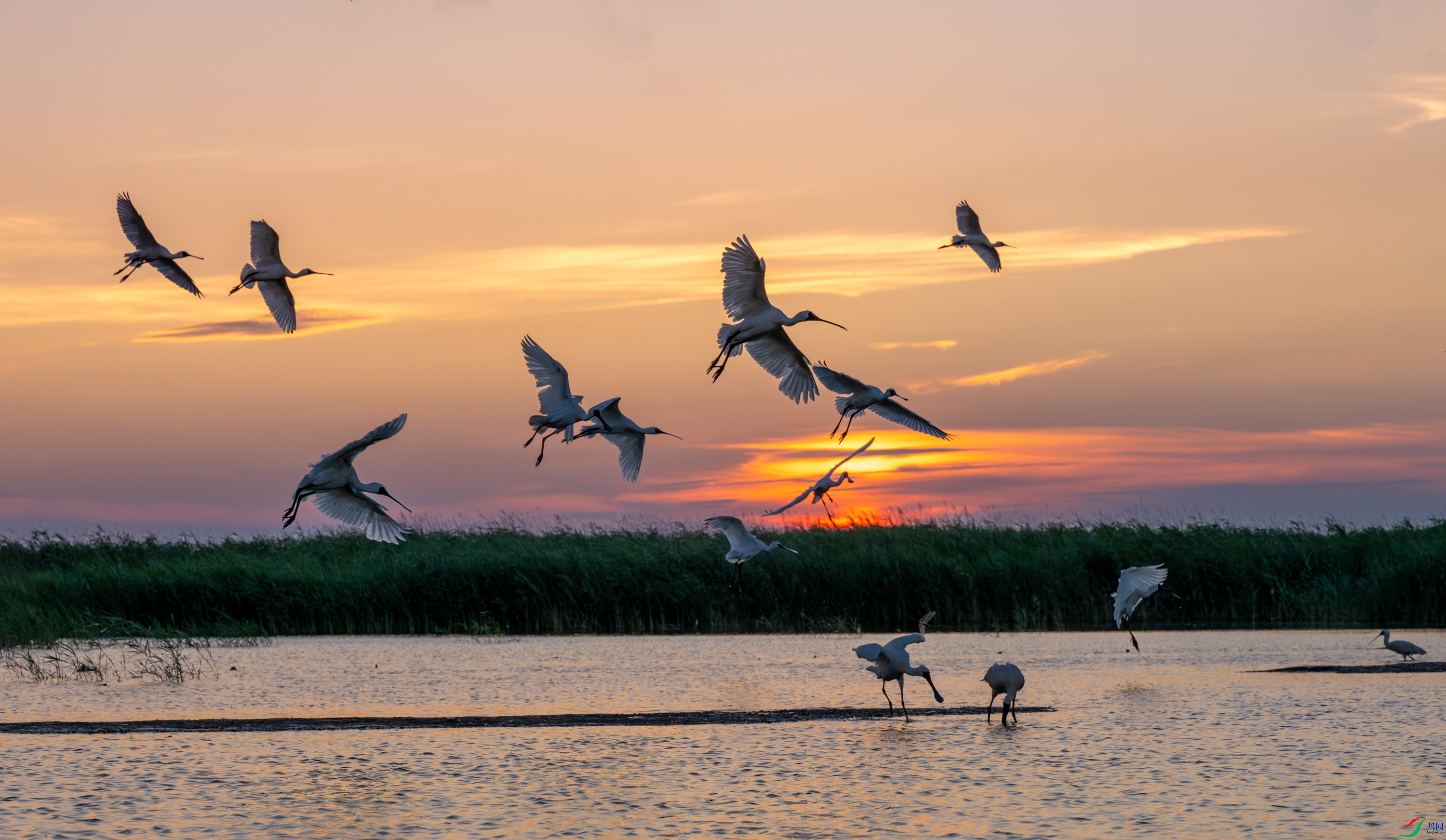 DSC_6760-����ǿ-NR-11.jpg