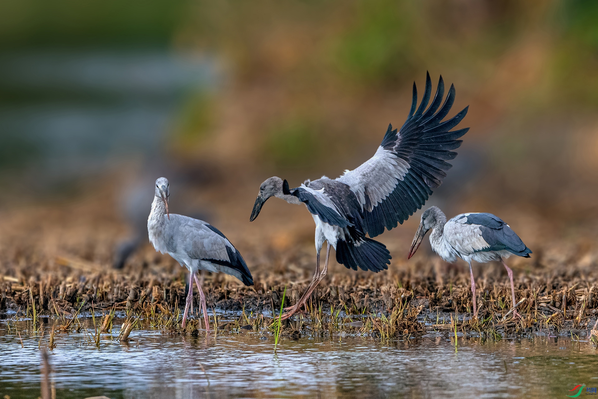 _AUU5019����(25.1.30).jpg