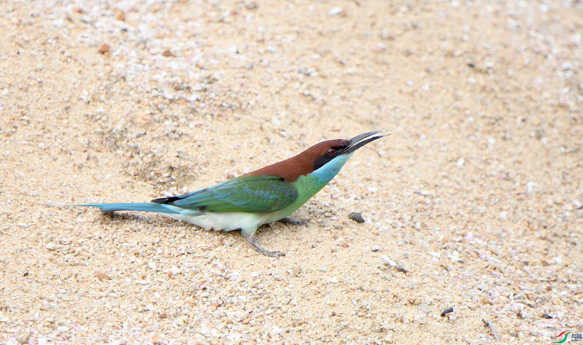 DSC_4817.jpg