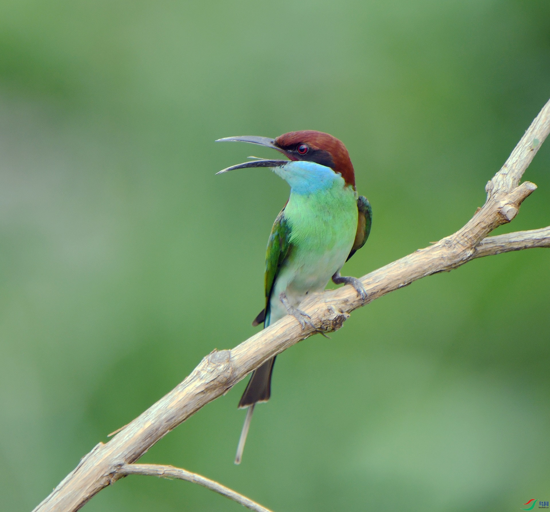 DSC_4816.jpg