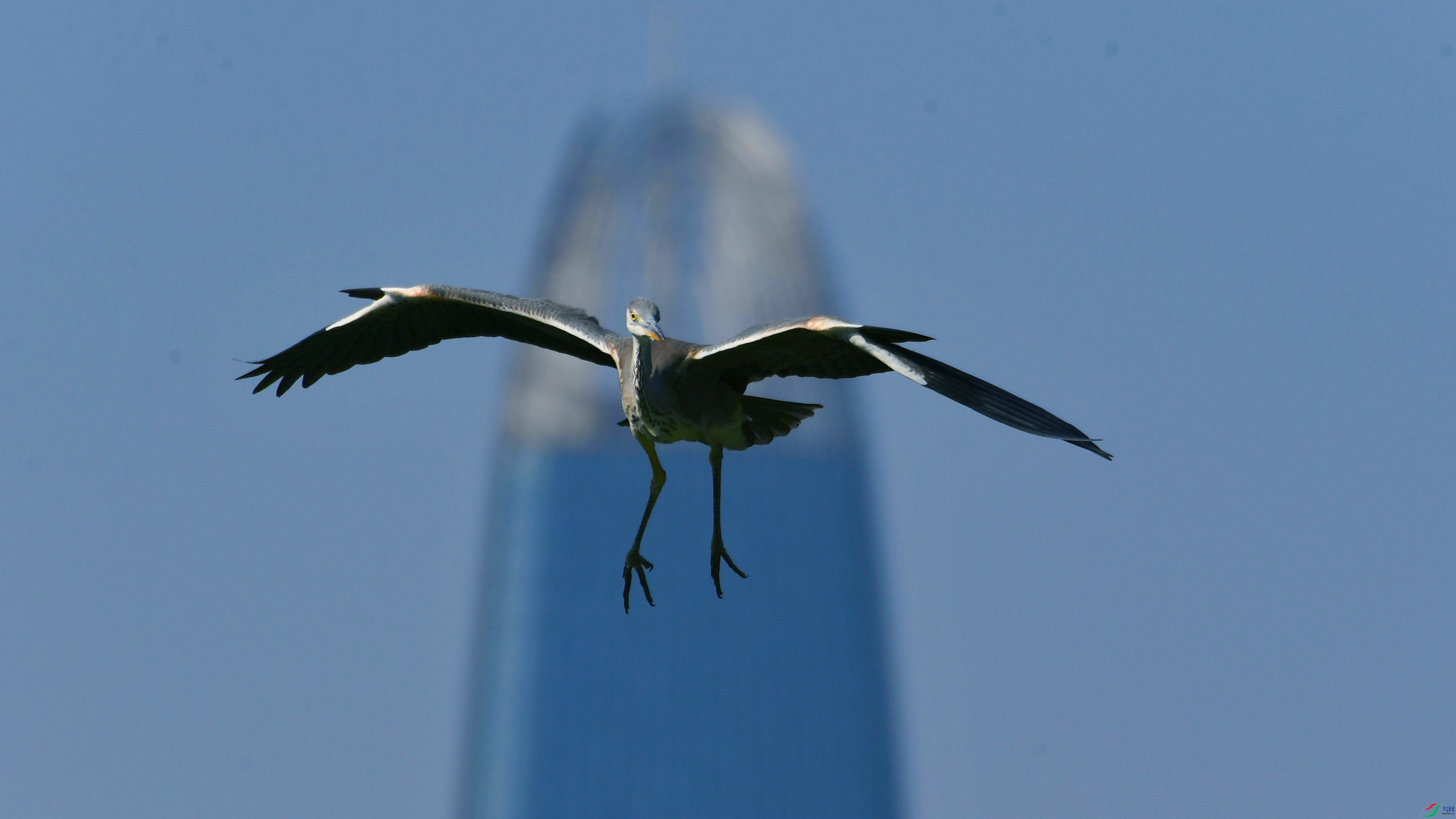 DSC_7584.JPG