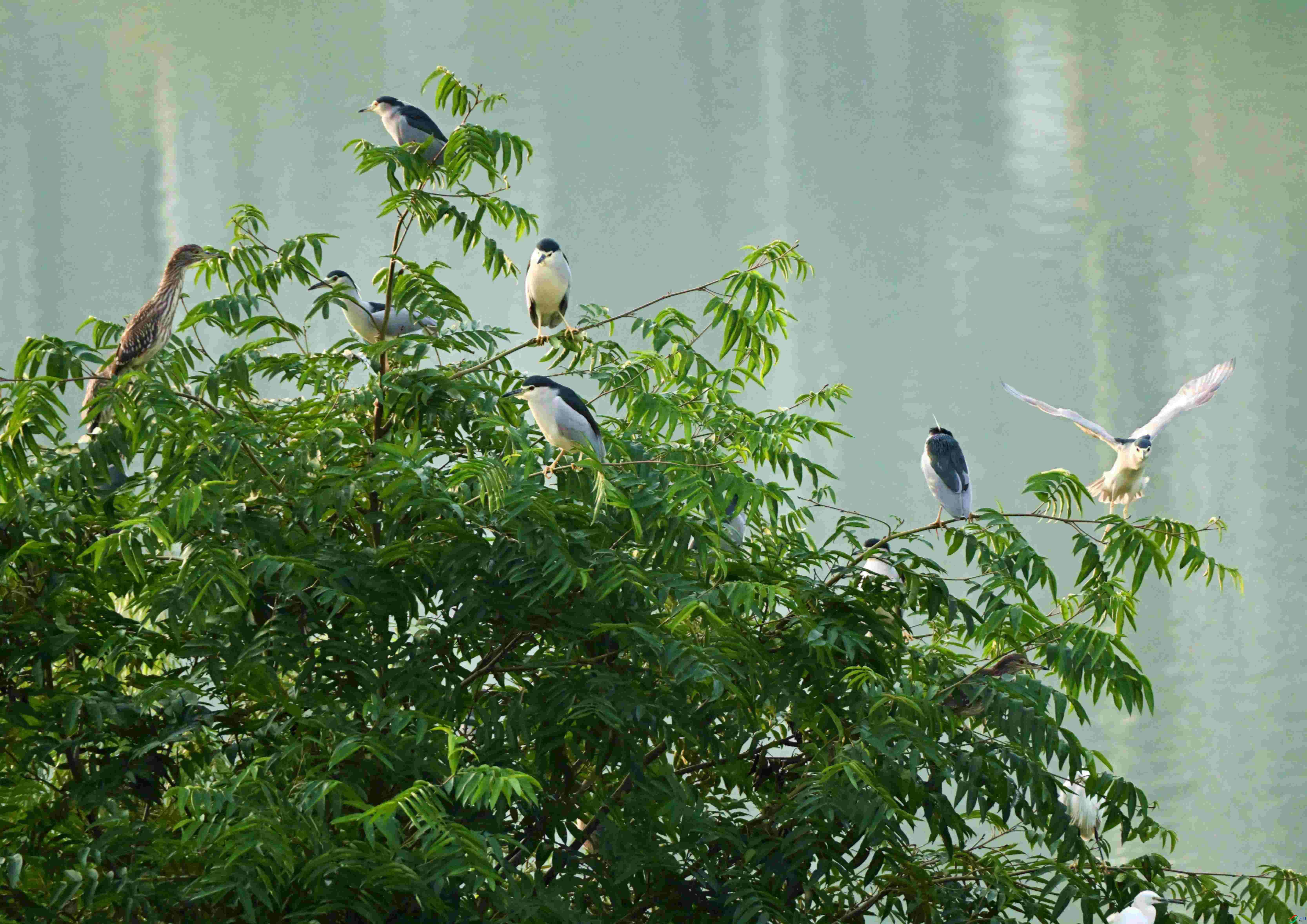 DSC_8669.JPG