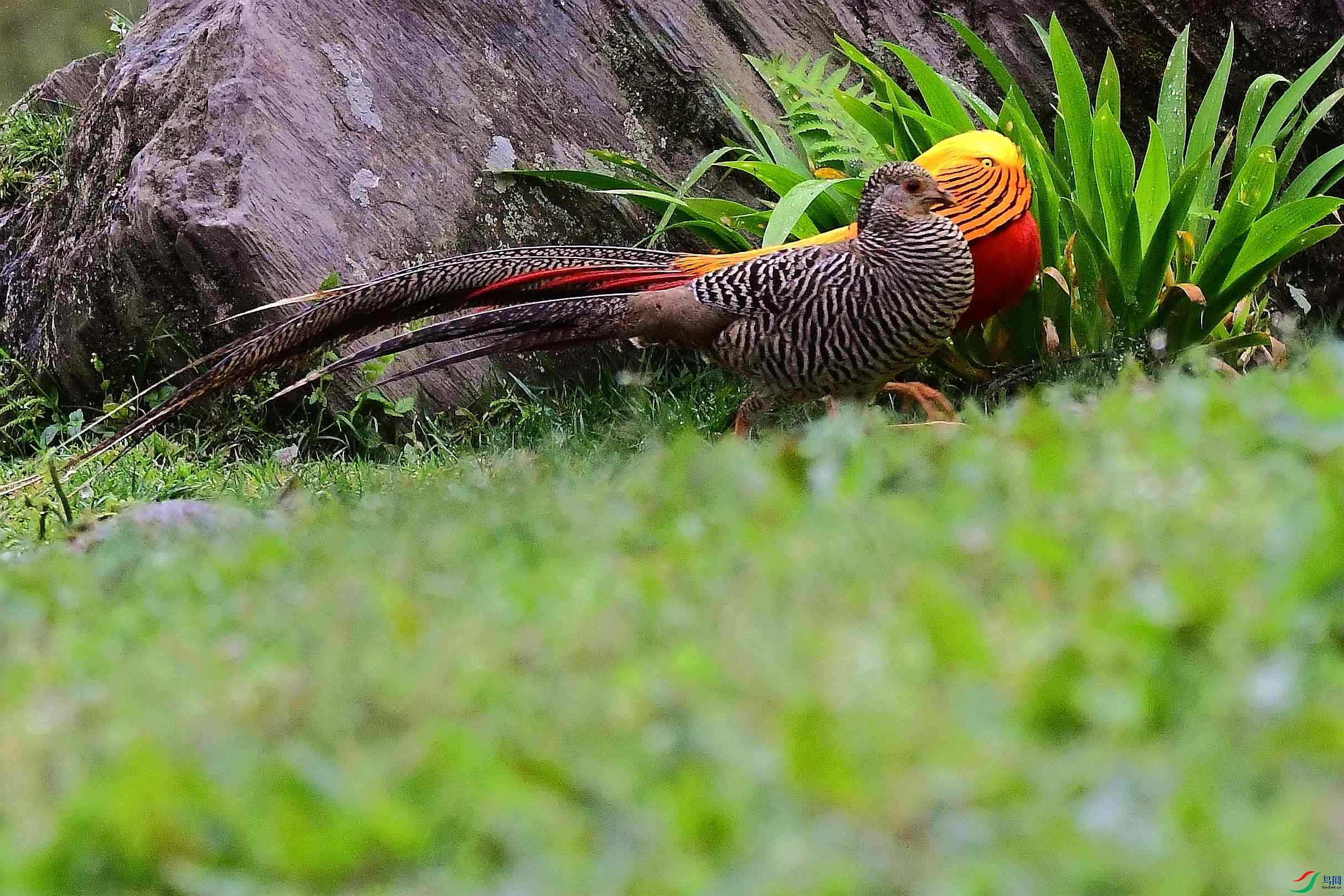 DSC_2402_����.jpg
