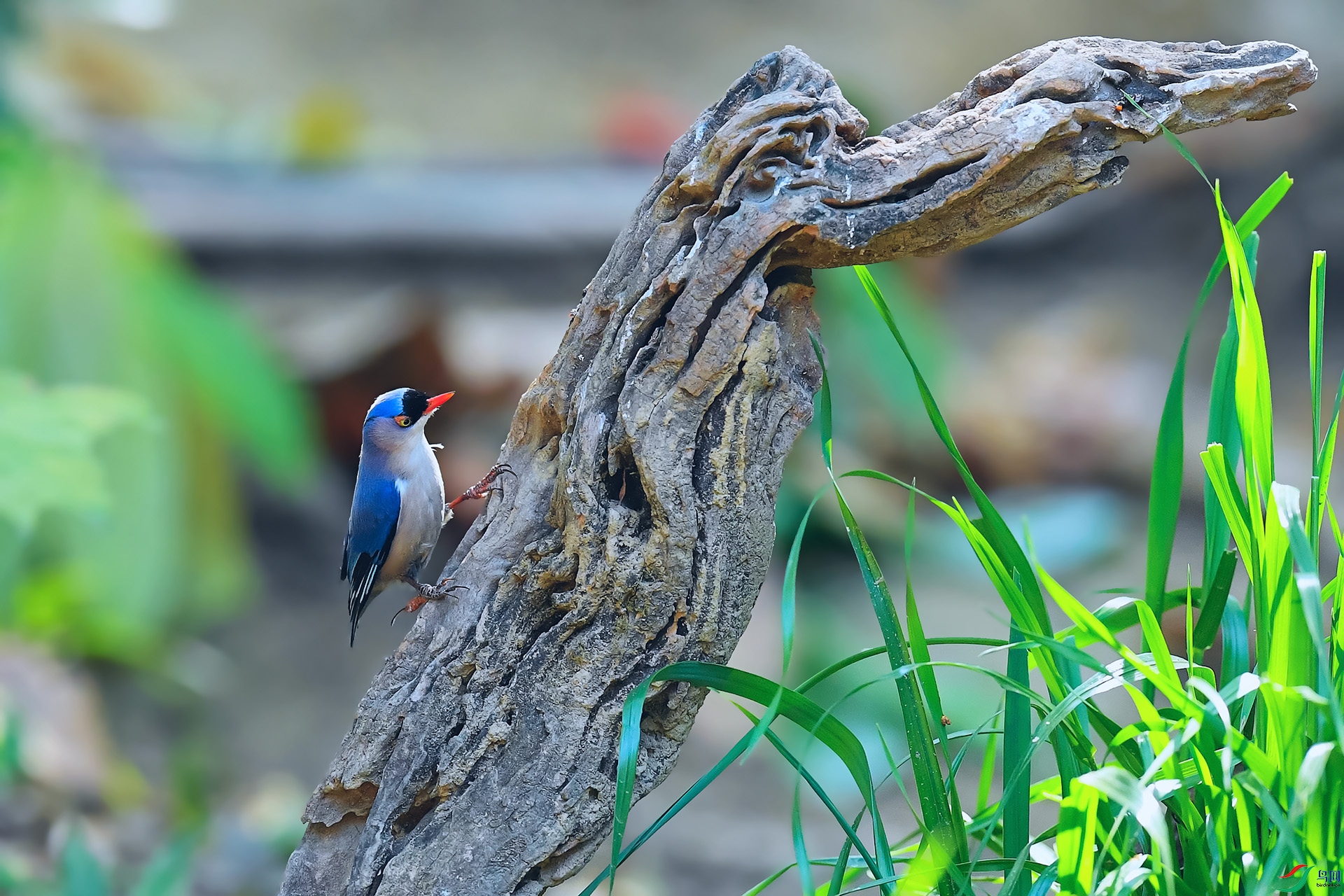 DSC_1375_DxO.jpga.jpg