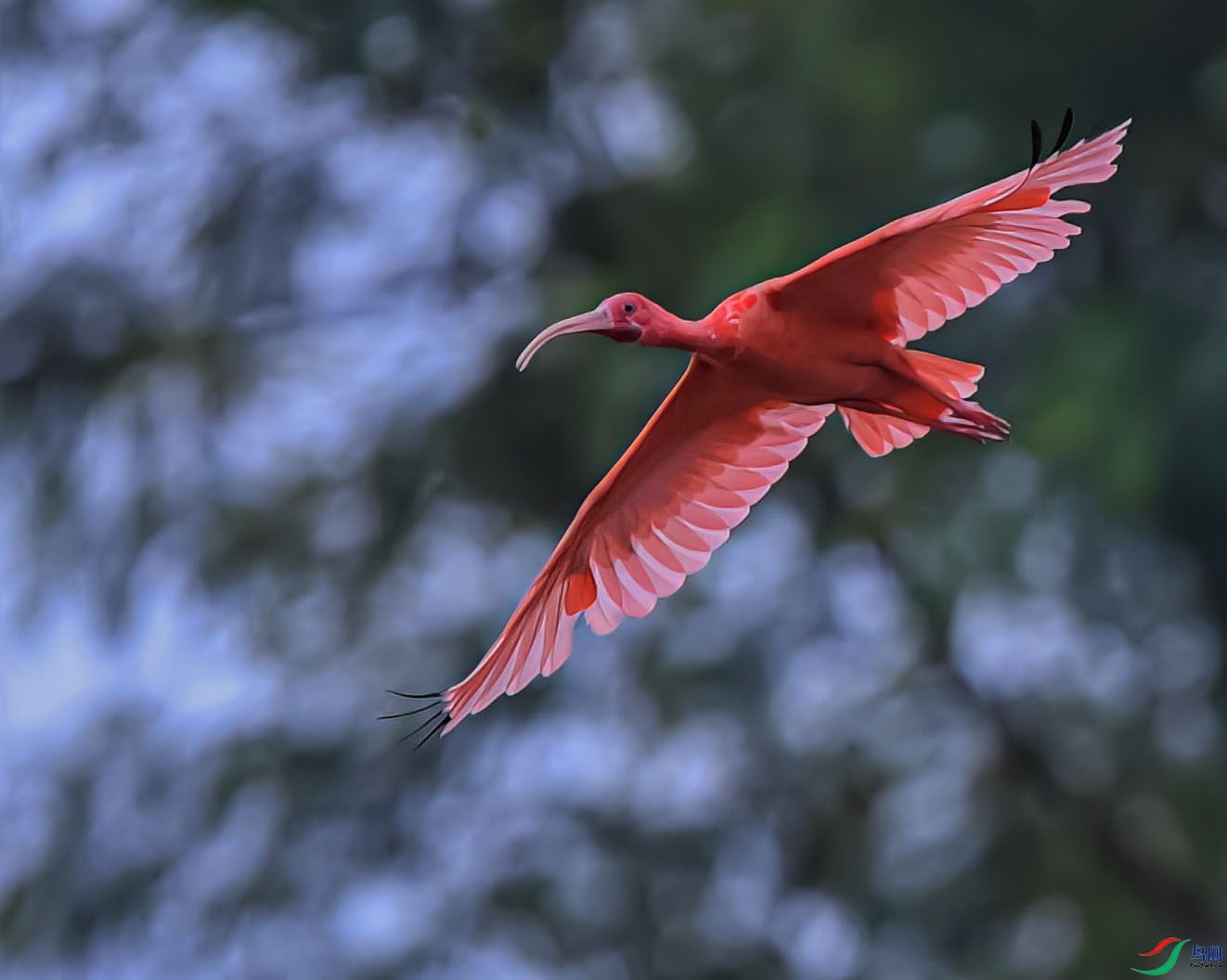 DSC_0344_proc ����.jpg