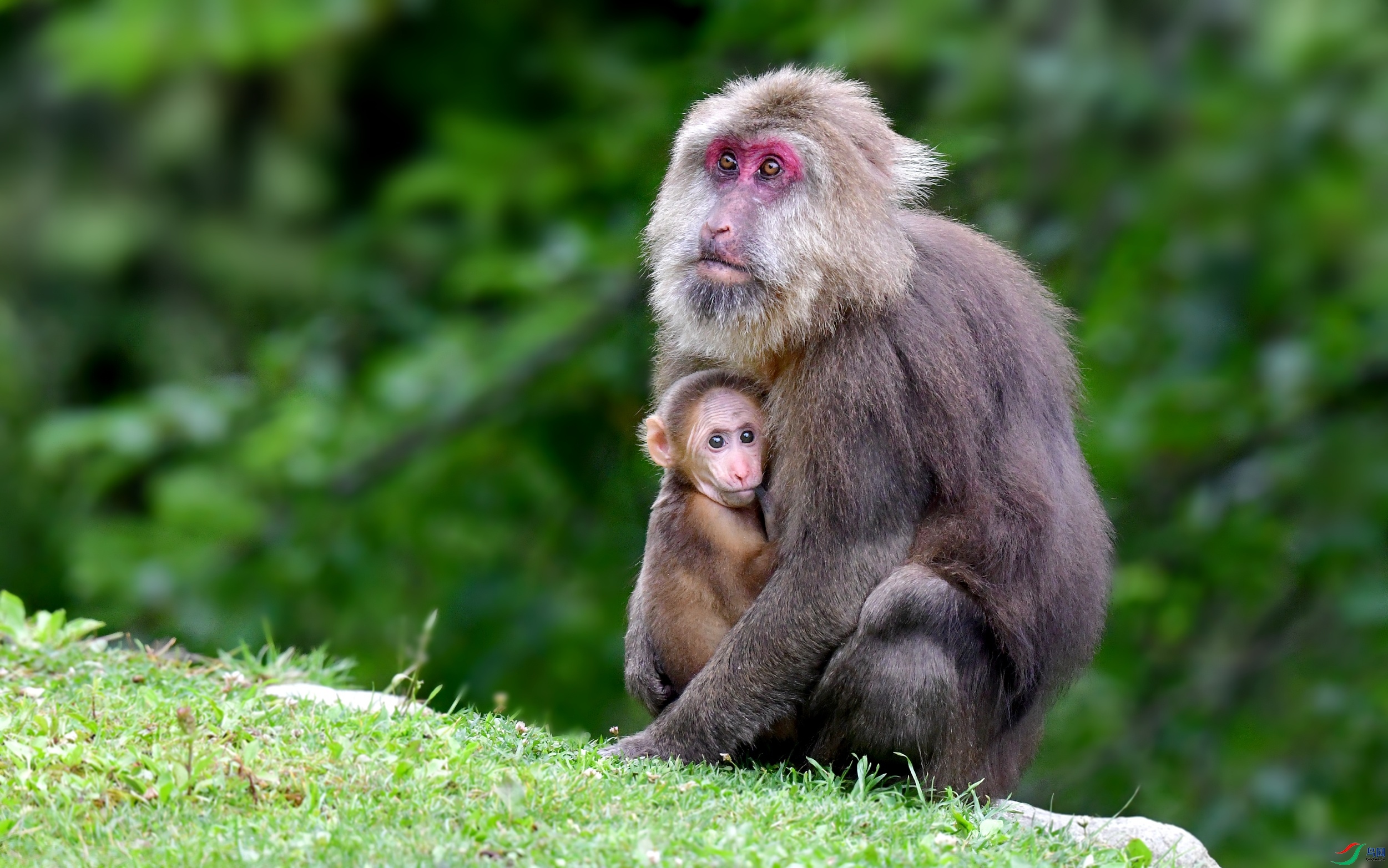 DSC_6584_conew10.jpg
