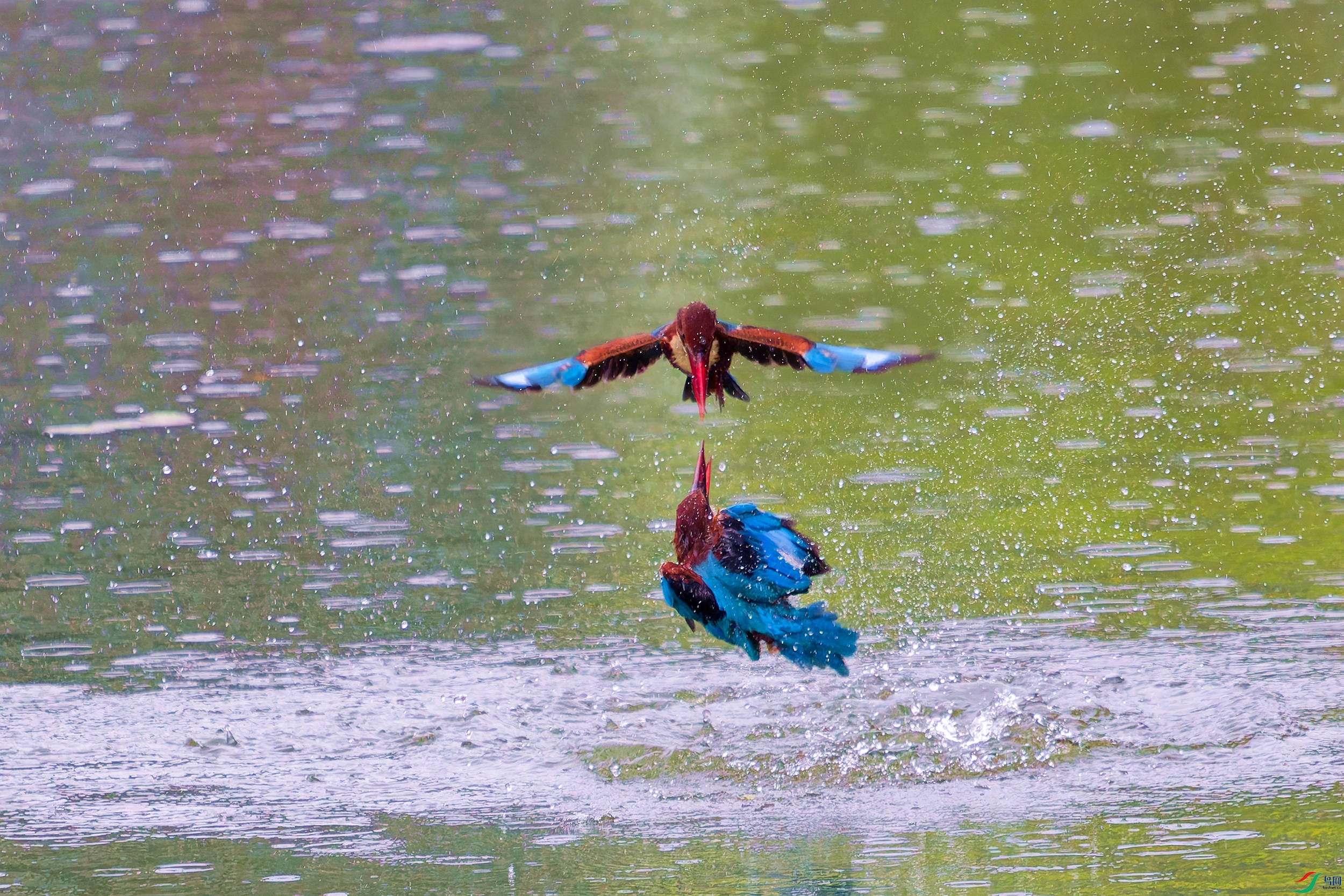 �������