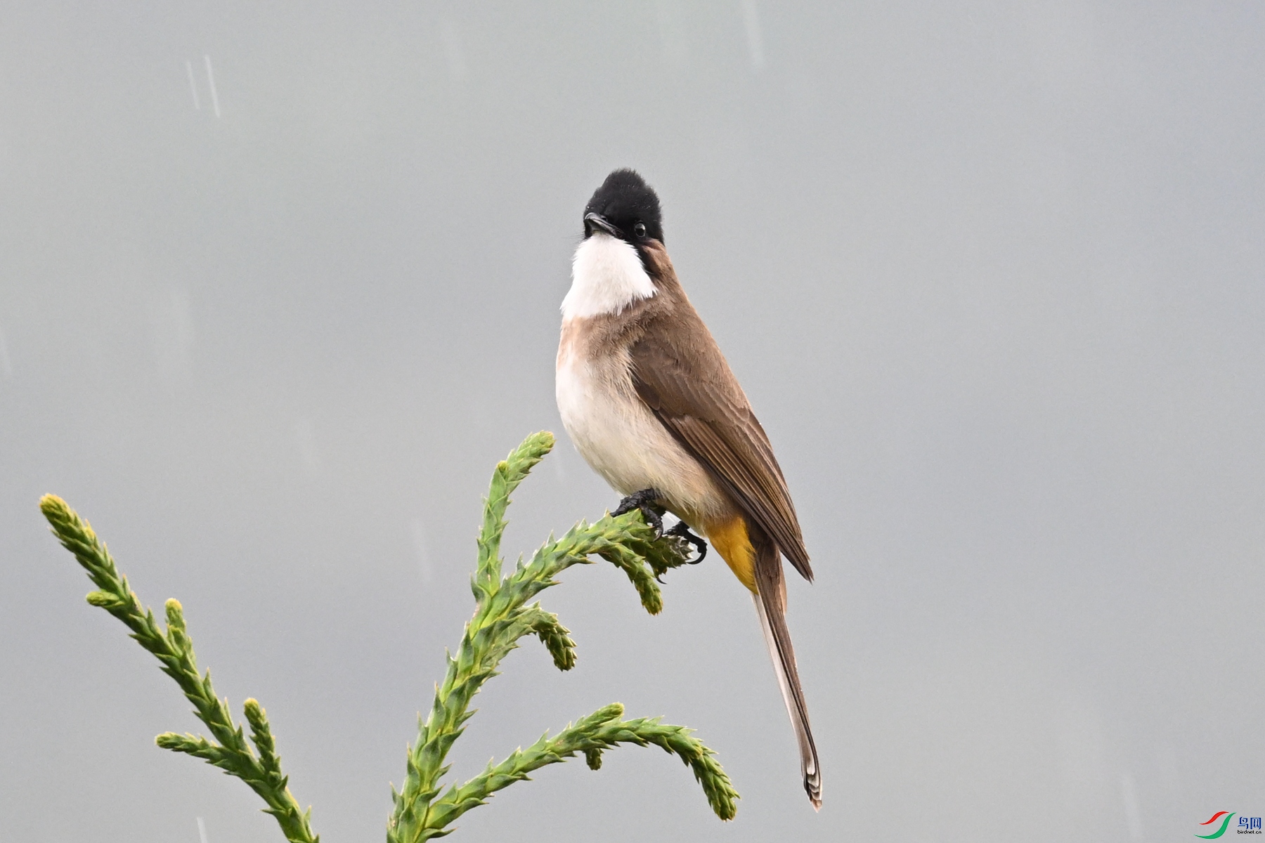 DSC_7477.JPG