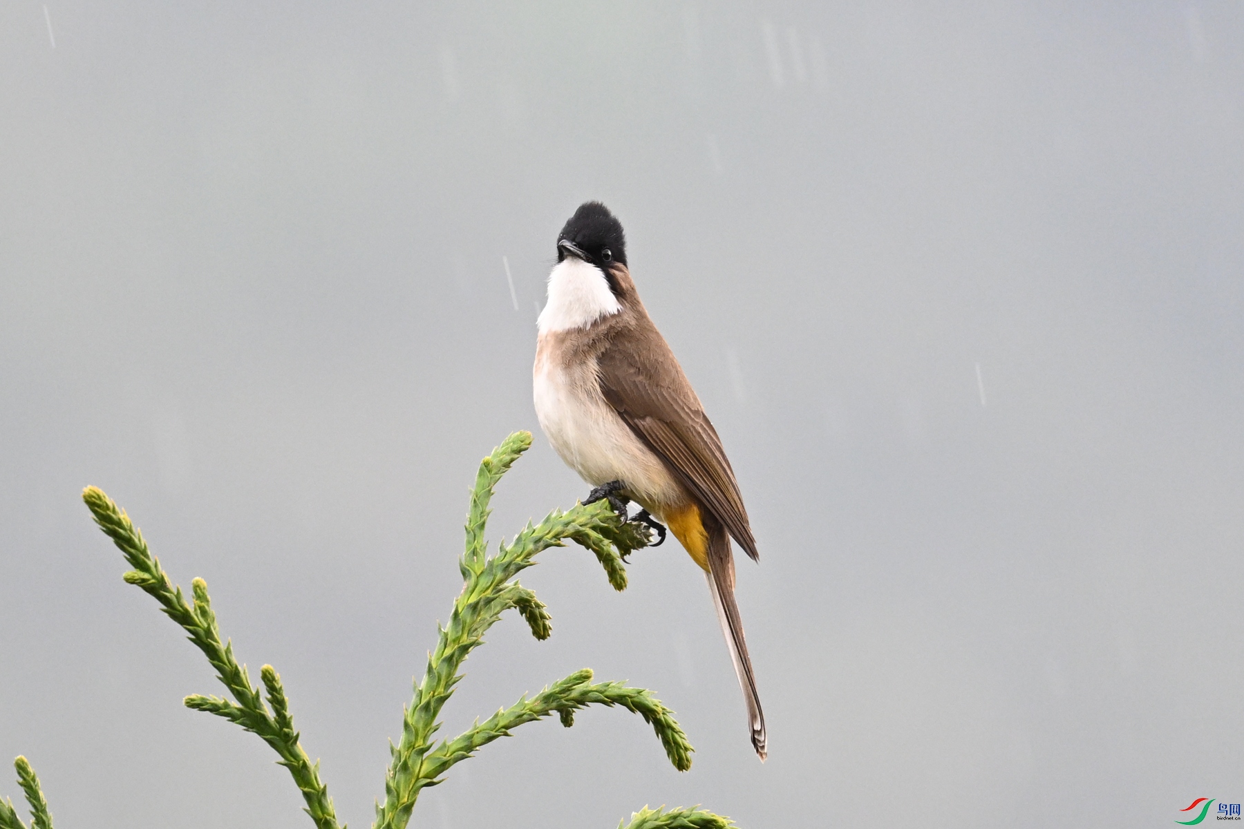 DSC_7475.JPG