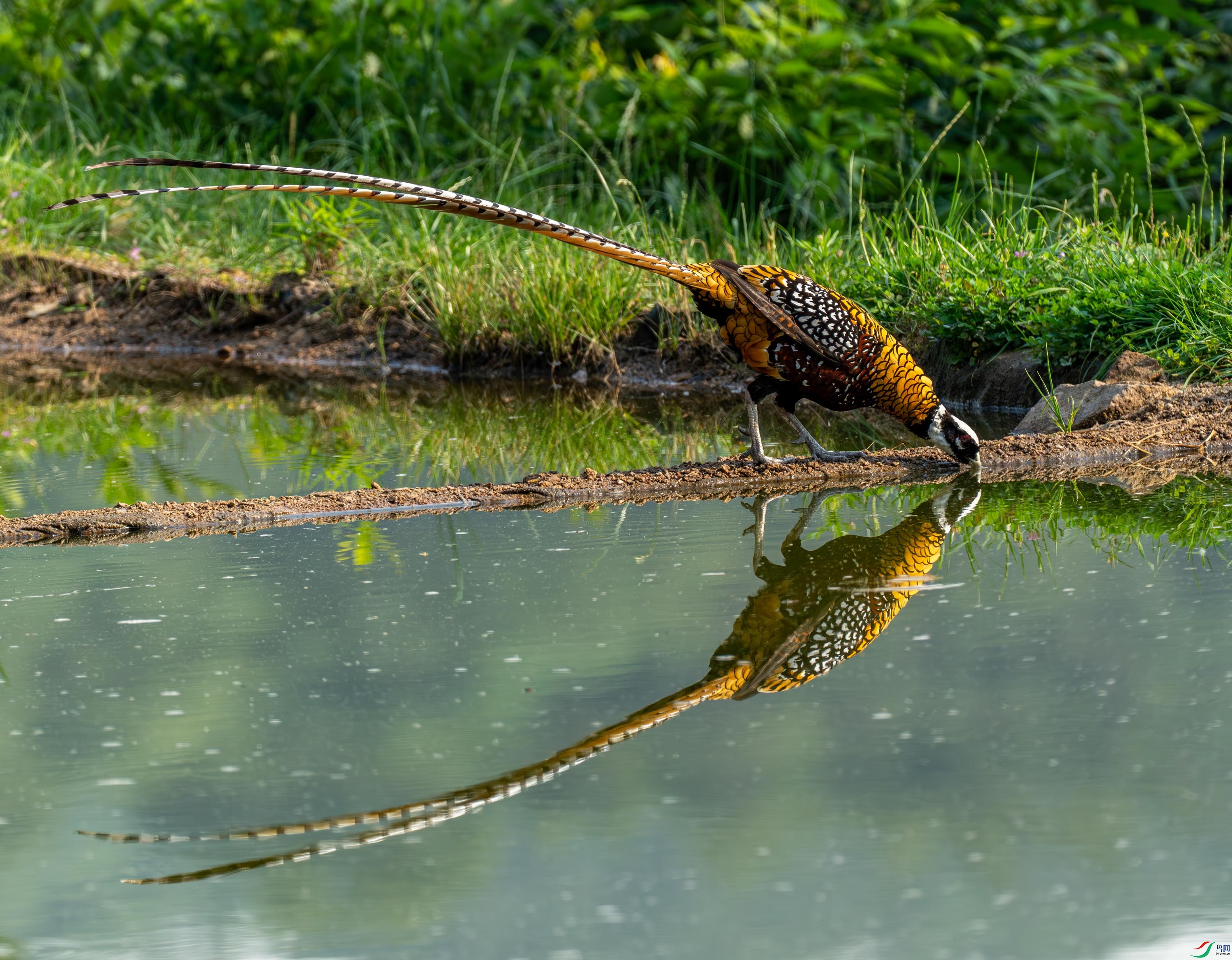 �׹ڳ�β�� (23 - 76).jpg