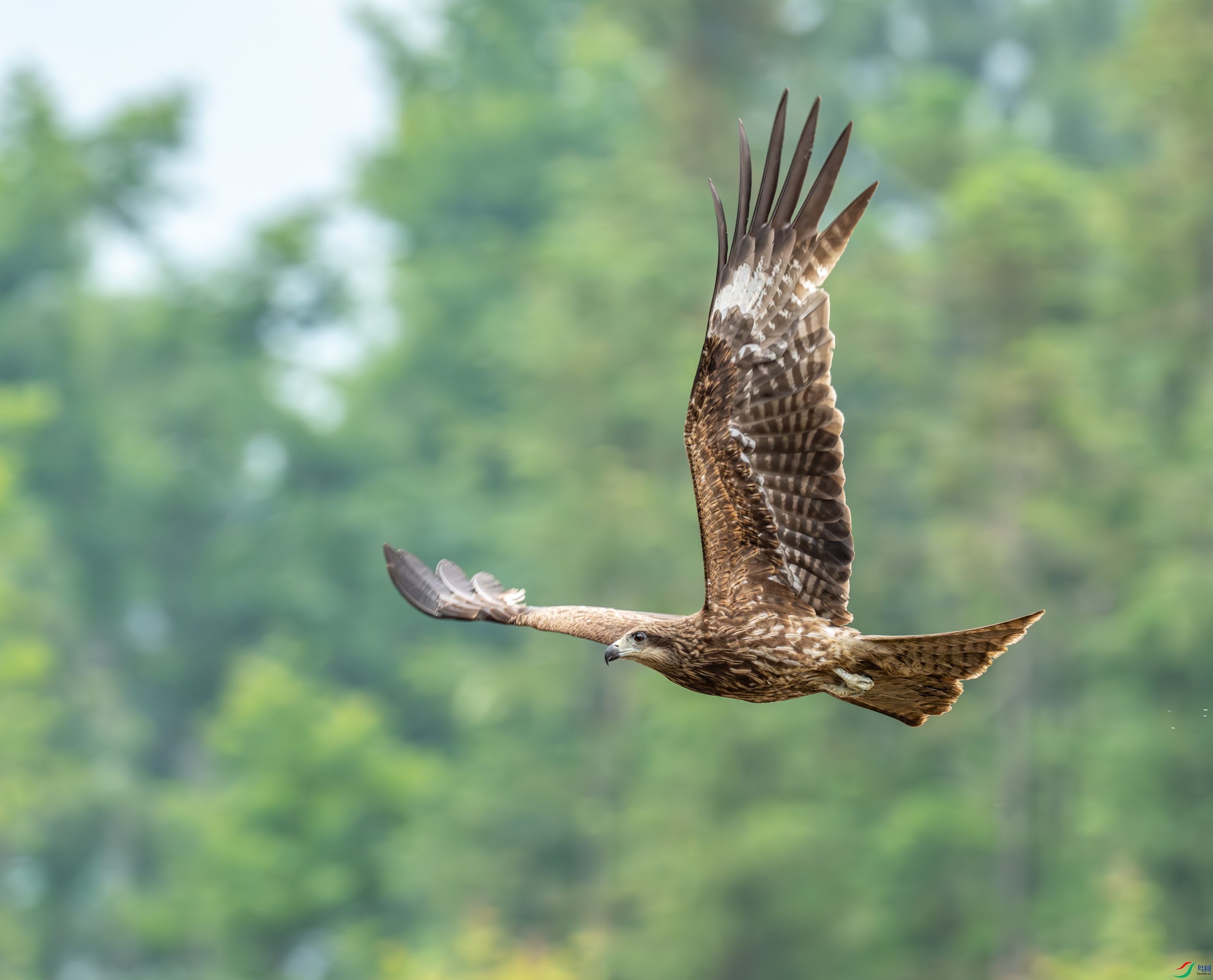 ��� (80 - 253).jpg