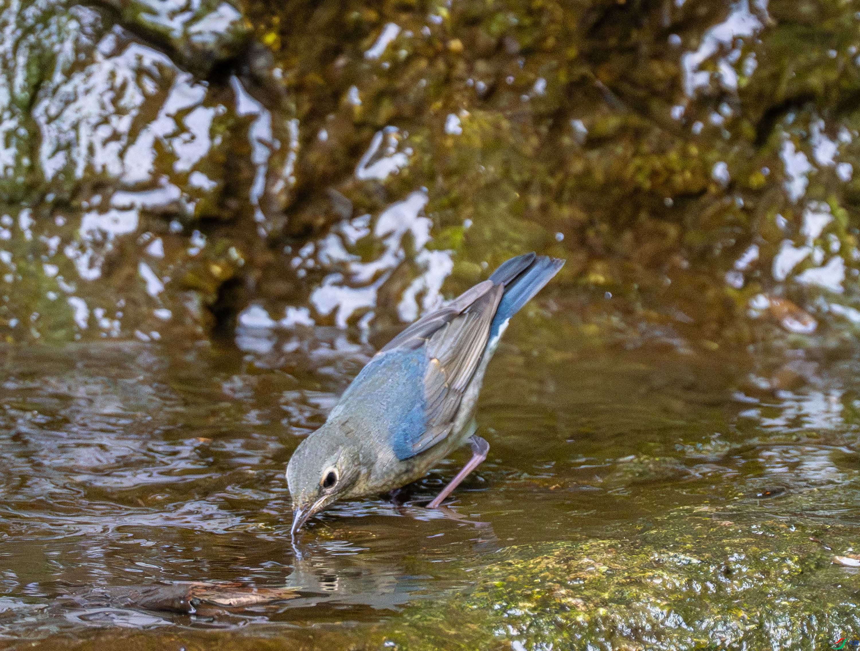 ����� (10 - 21).jpg