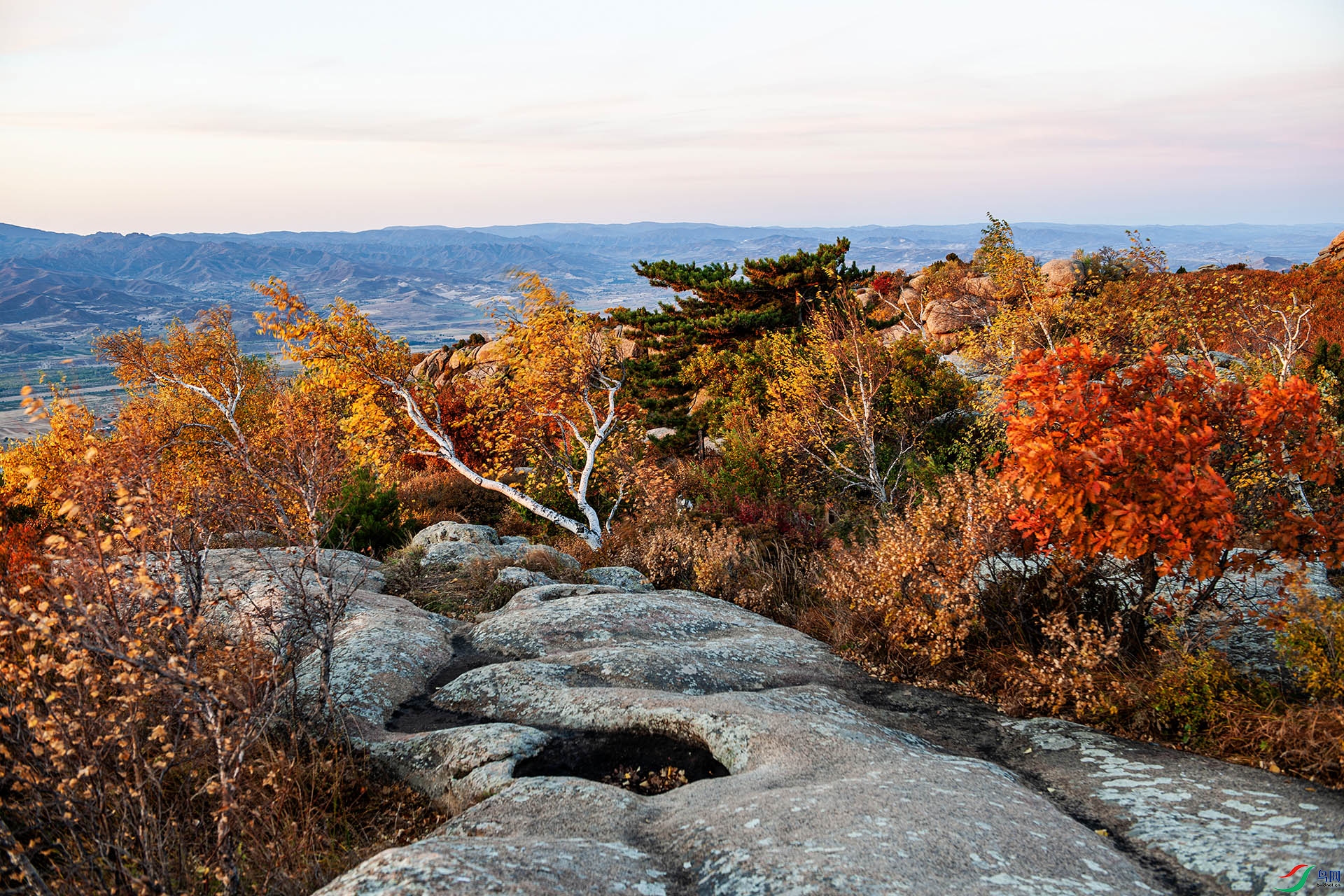 _DSC7168.jpg