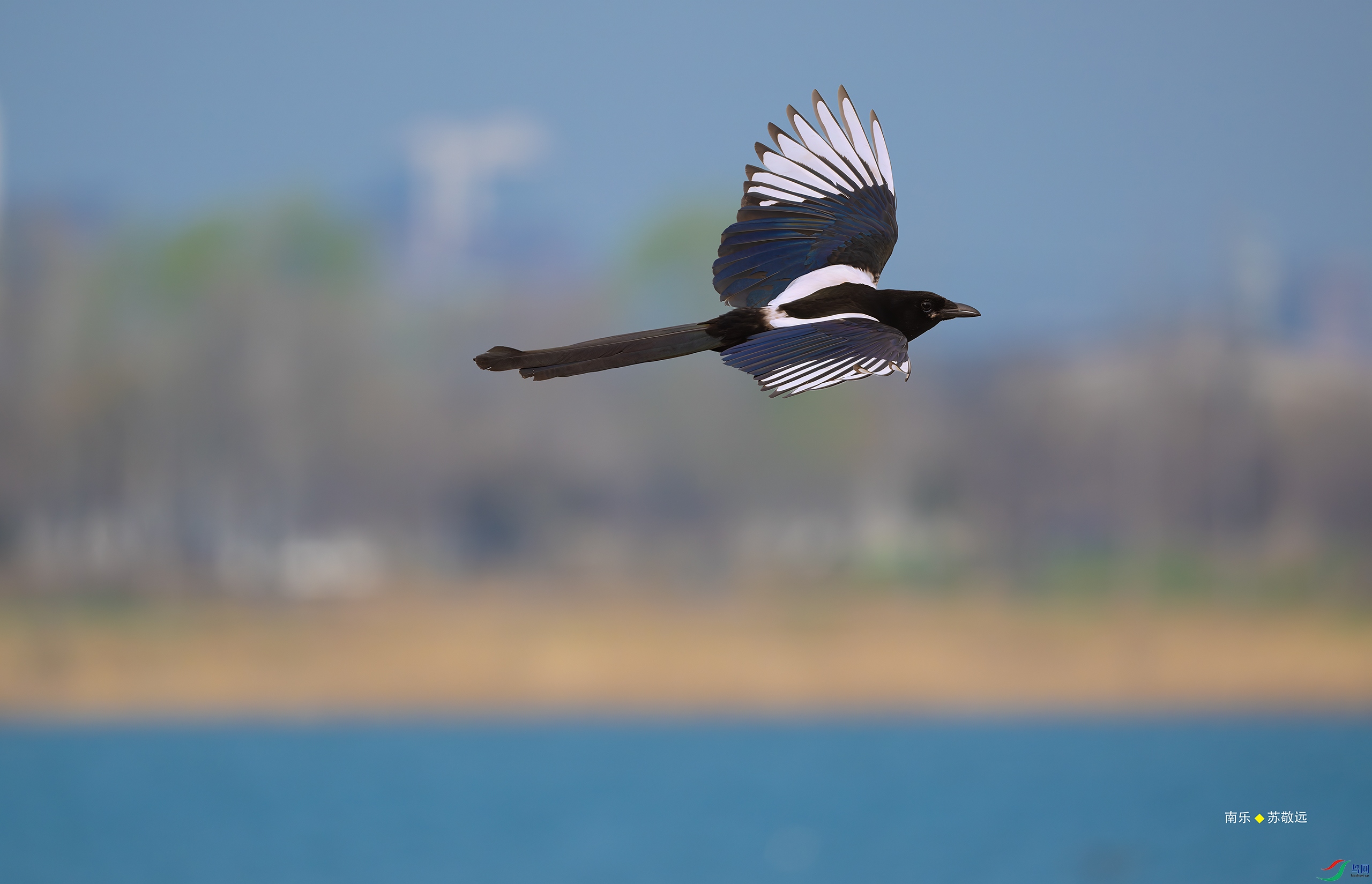 _DSC0163-(3)-DxO_С.jpg