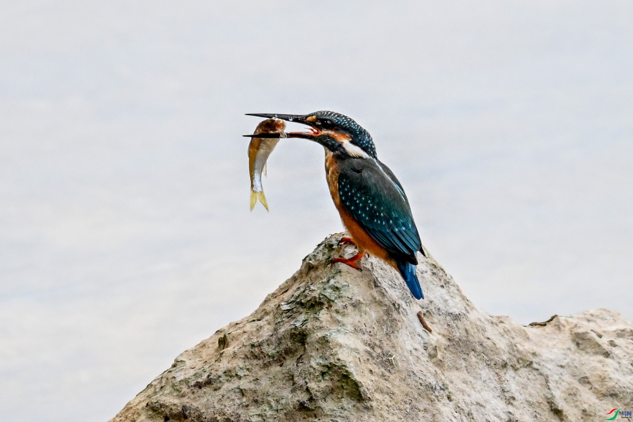 DSC_3094.JPG