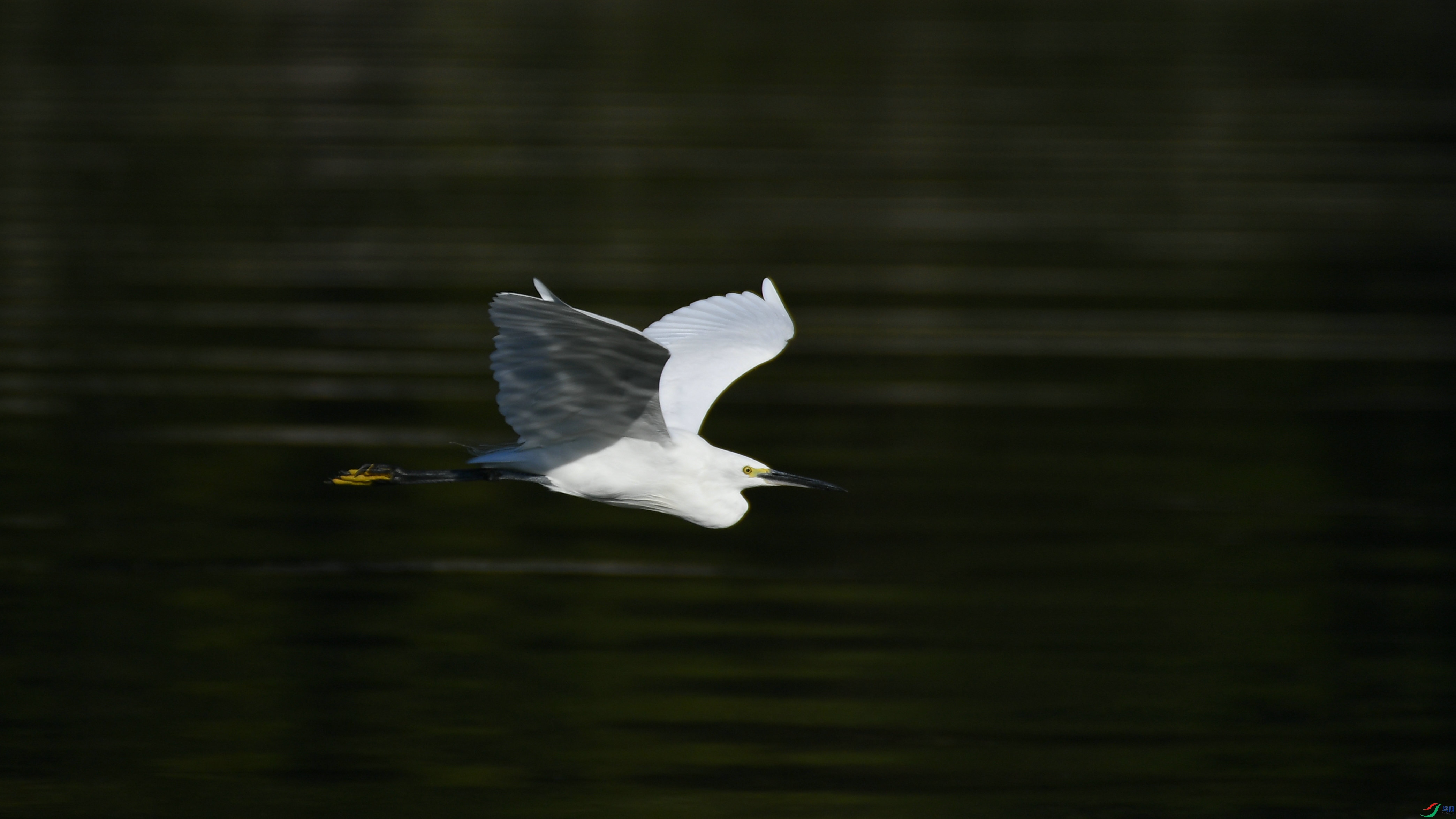 DSC_8812.JPG