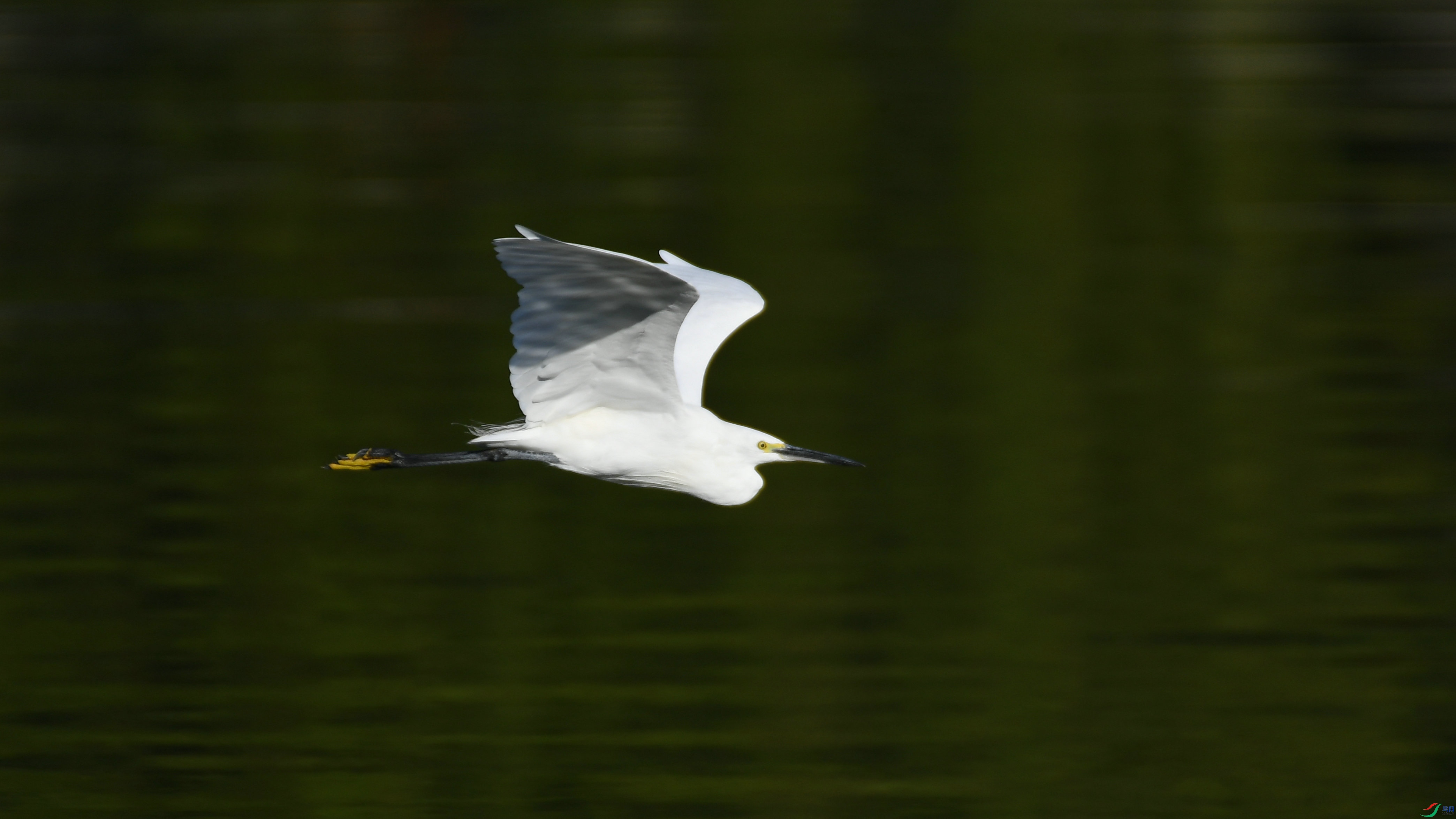 DSC_8816.JPG