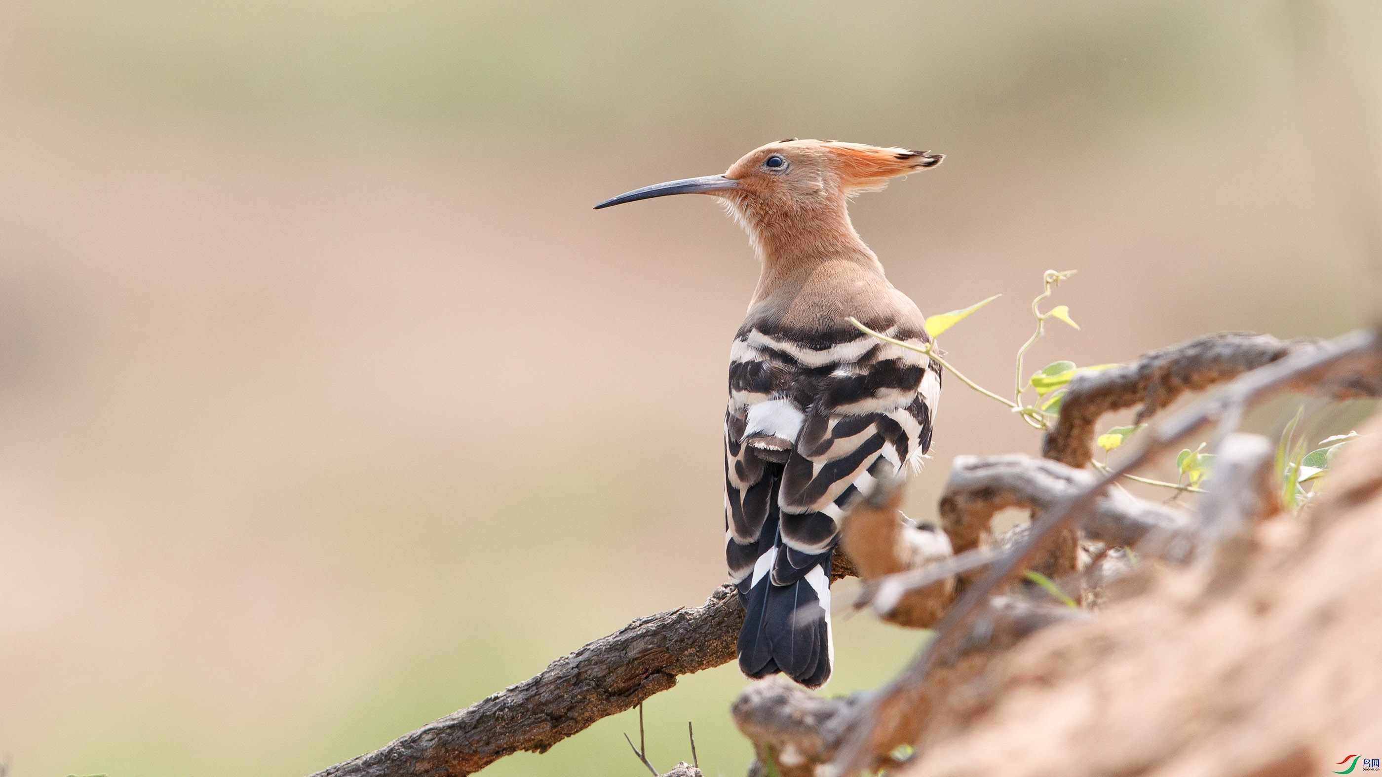 AM3I3290.jpg