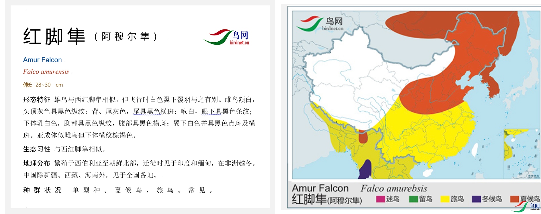 96f0b7b4ac750f4ff1ff0a108f7f016d.jpg