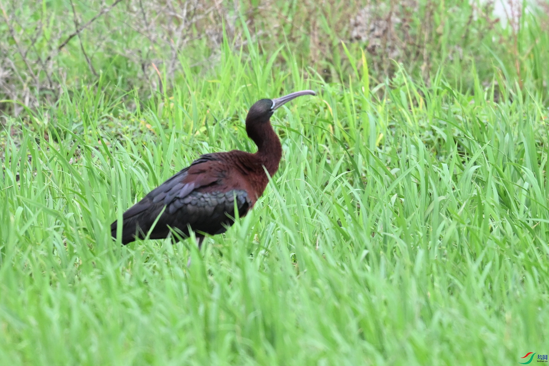 DSC_7501.JPG
