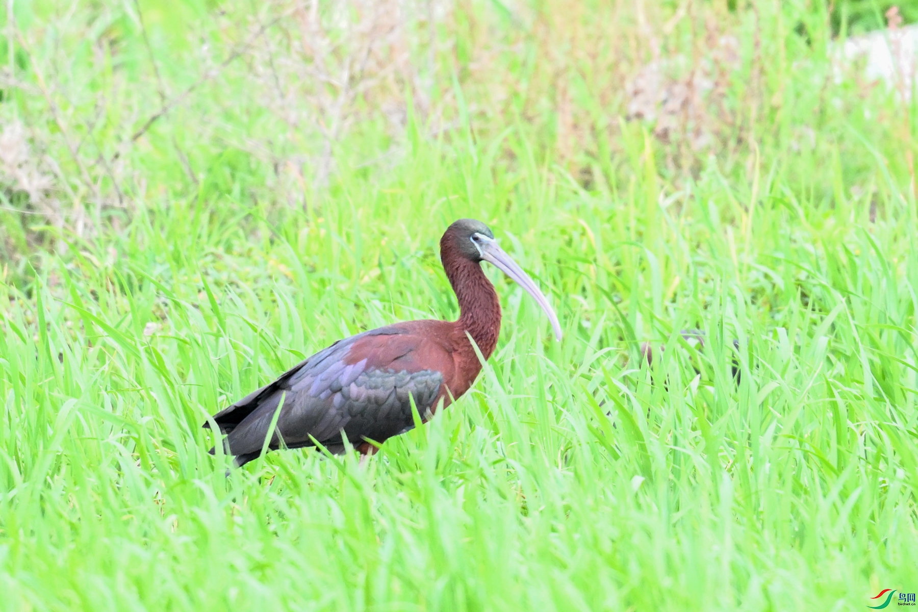 DSC_7491.JPG
