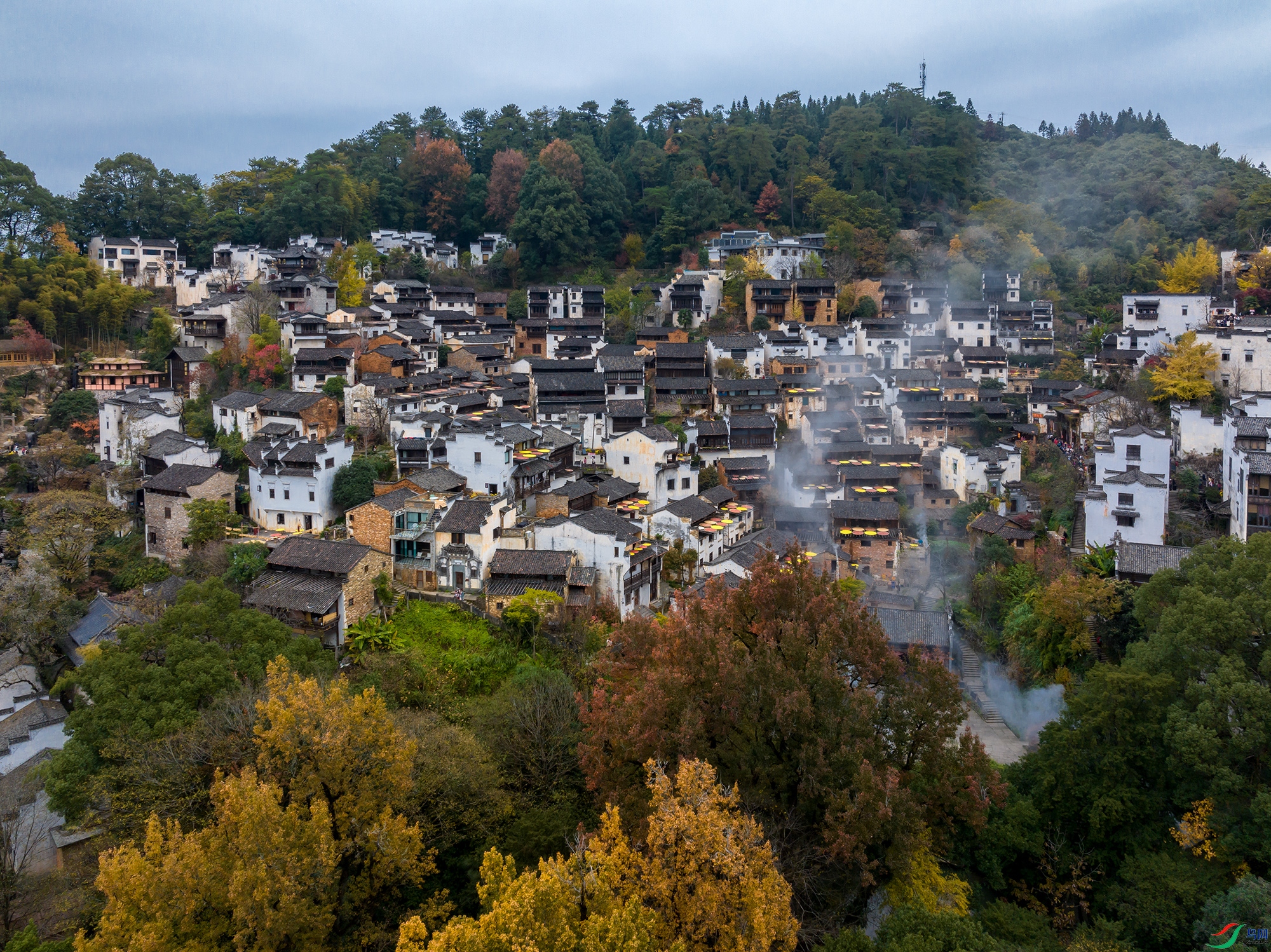 DJI_20231126145555_0207_Da.jpg