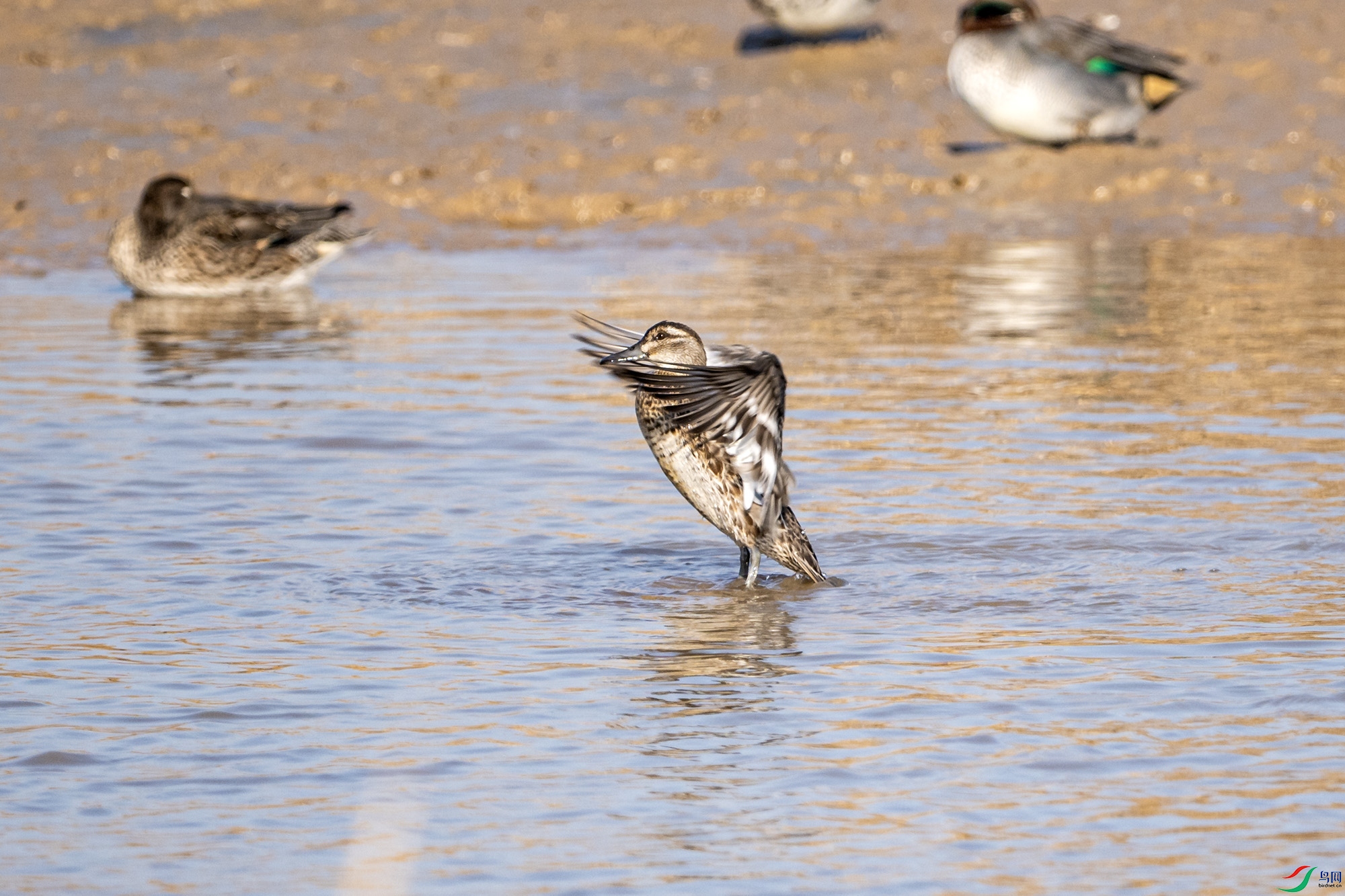 DSC_5975.jpg