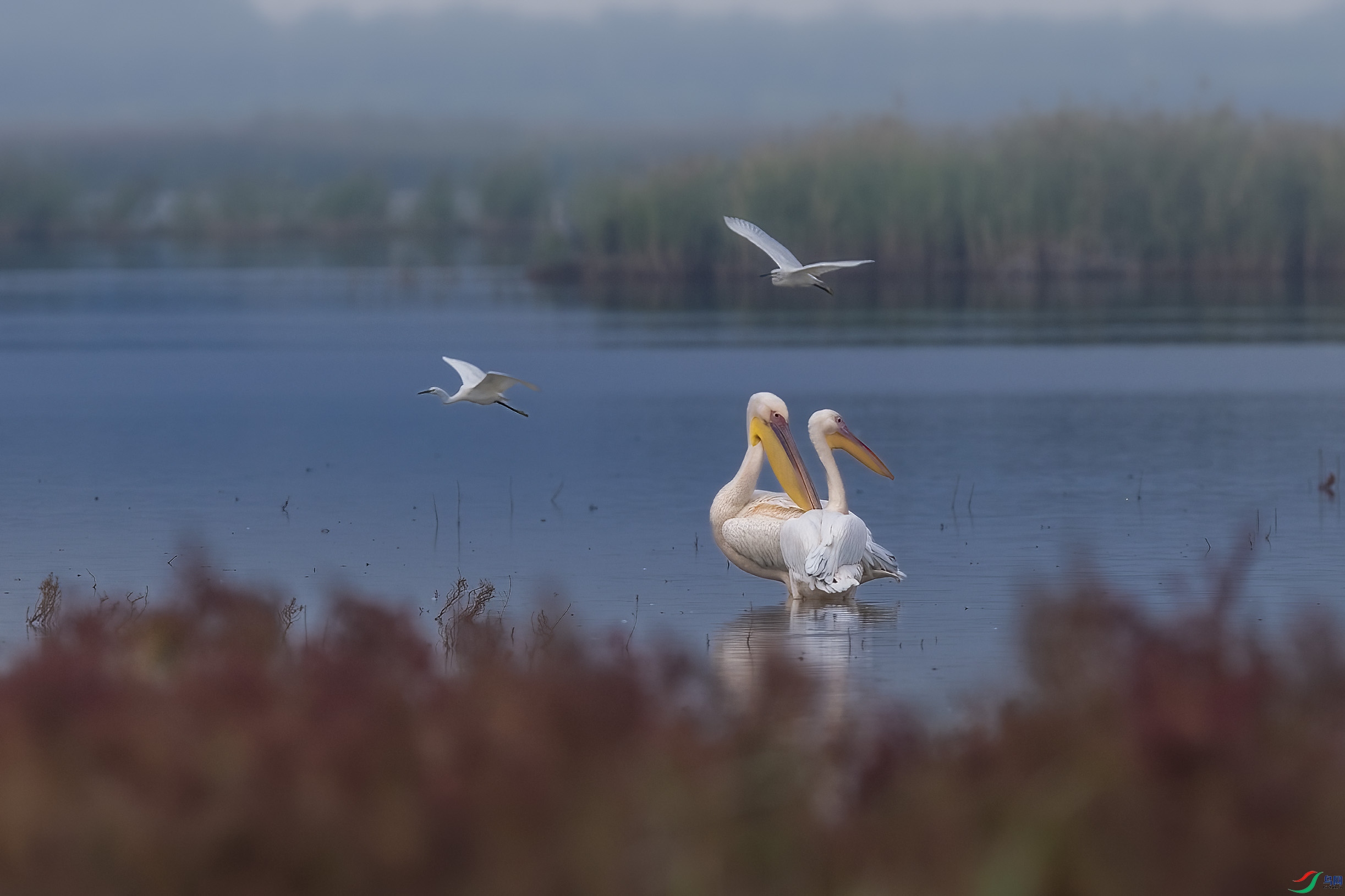 DSC_8288 ����.jpg