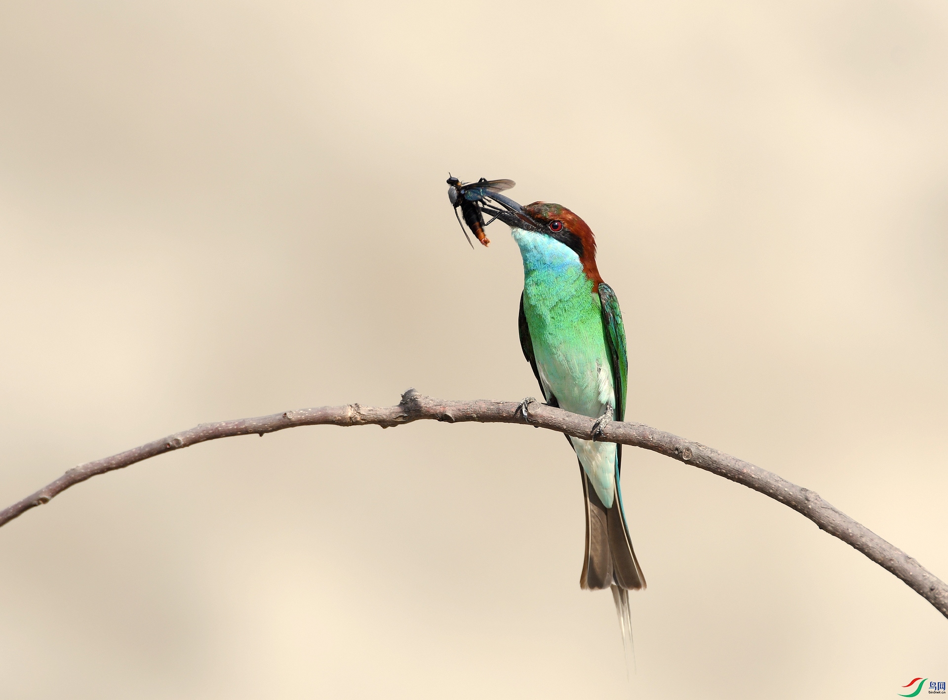 DSC_8332.jpg