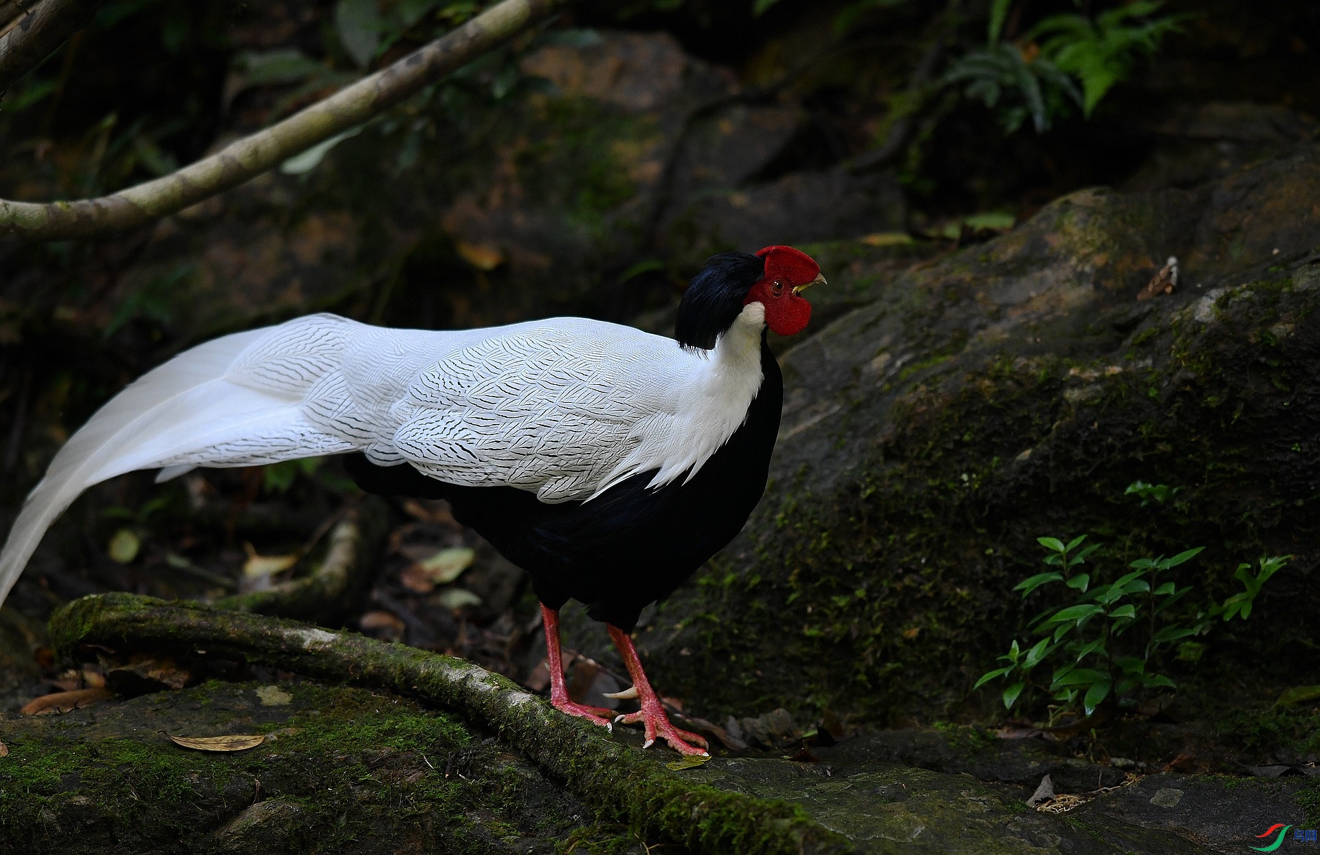 DSC_8404.jpg