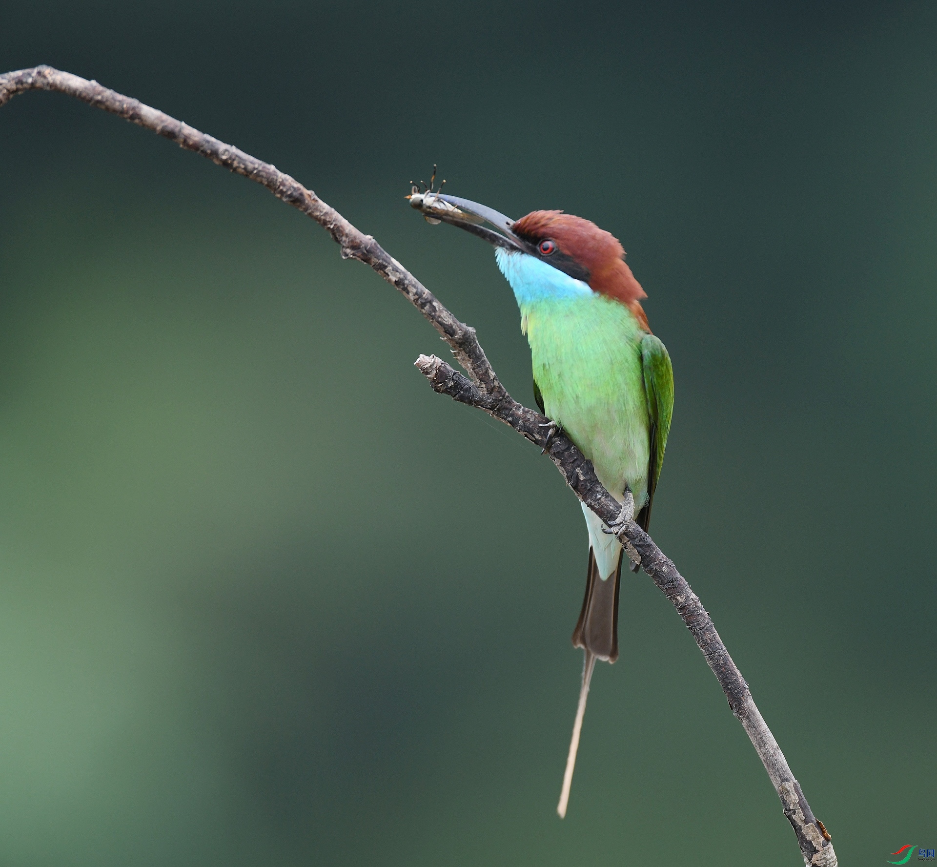 DSC_3984.jpg